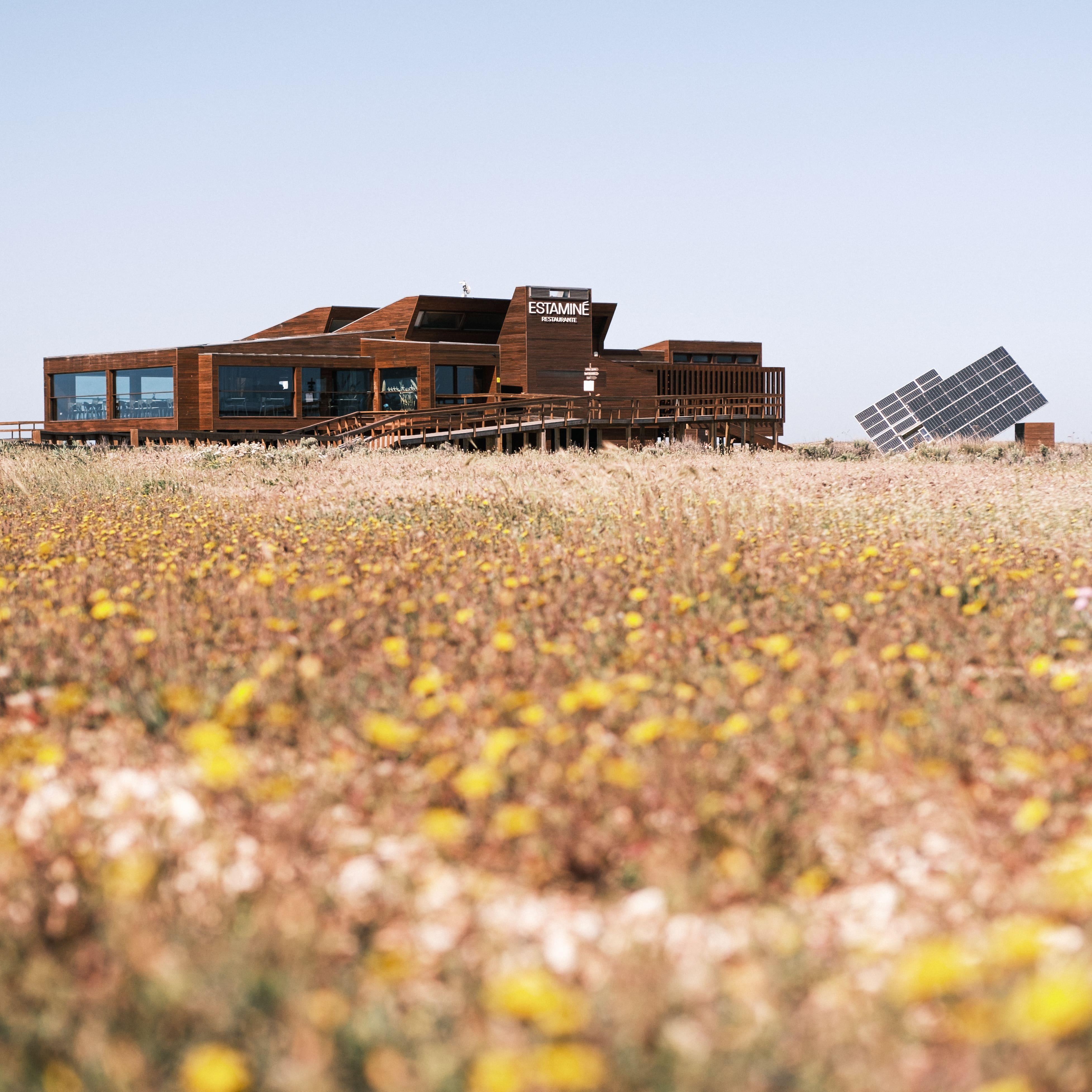 From Faro: Ria Formosa Hop-On Hop-Off 3 Islands Cruise