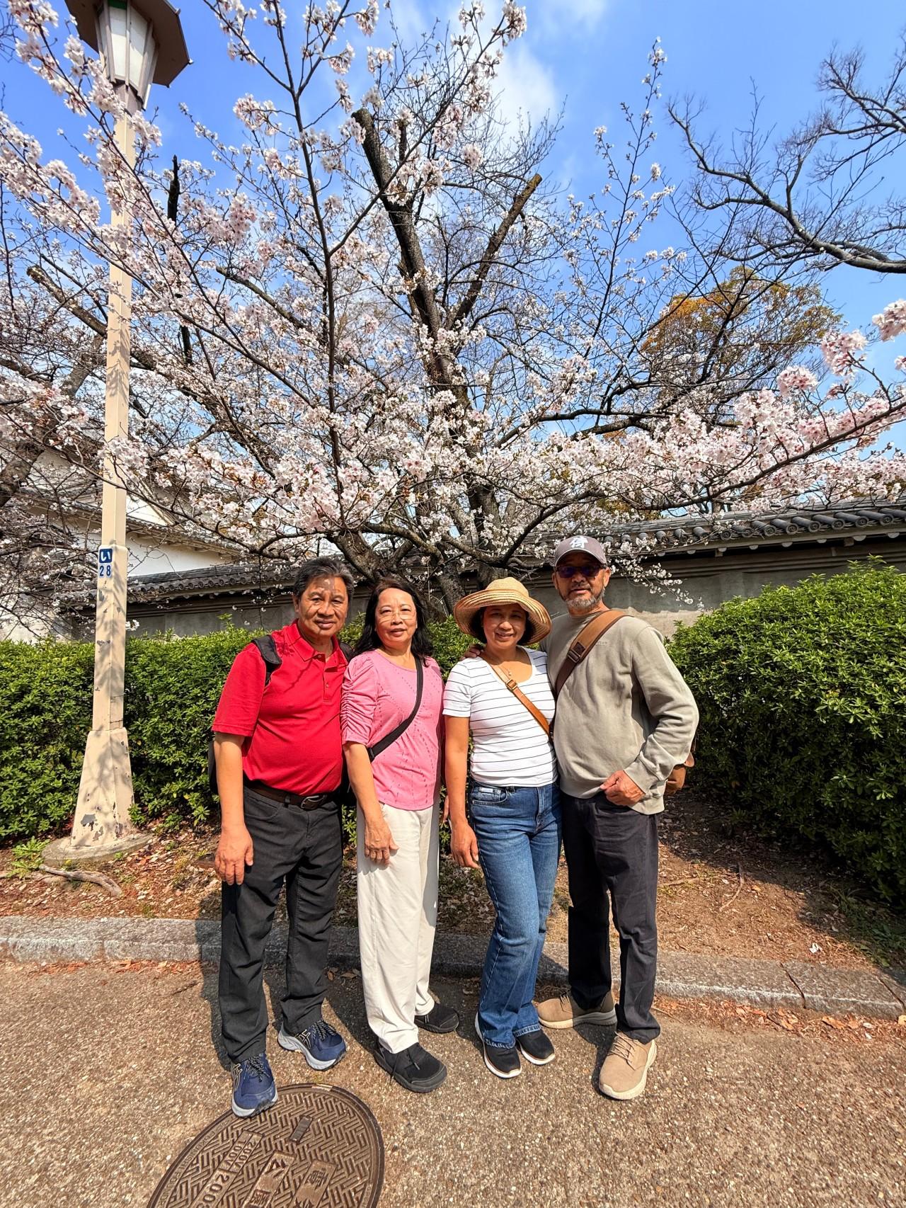 Osaka Custom Private Tour by Luxury Vehicle