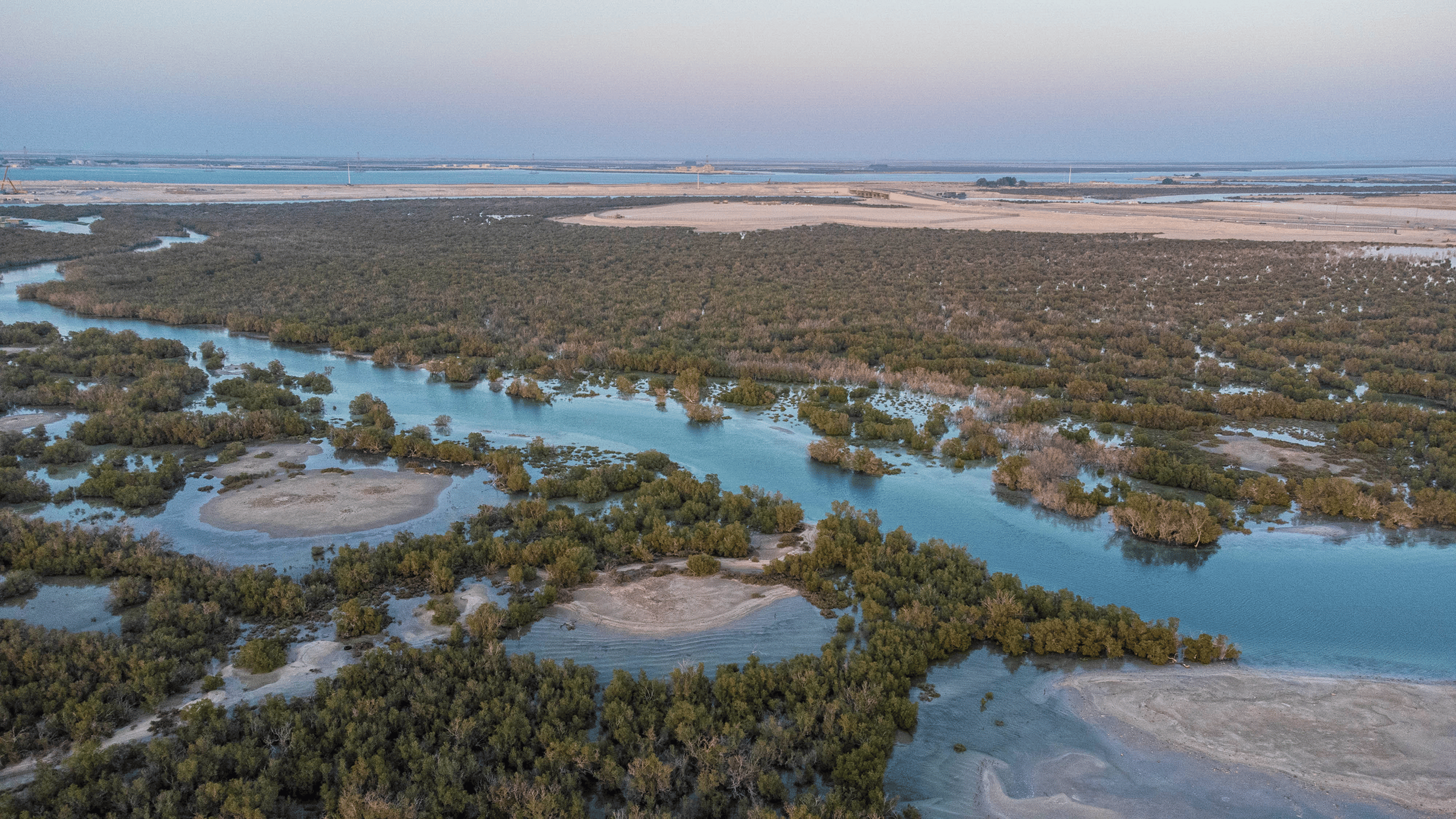 Yas Island Rhino Rider Speedboat Adventure