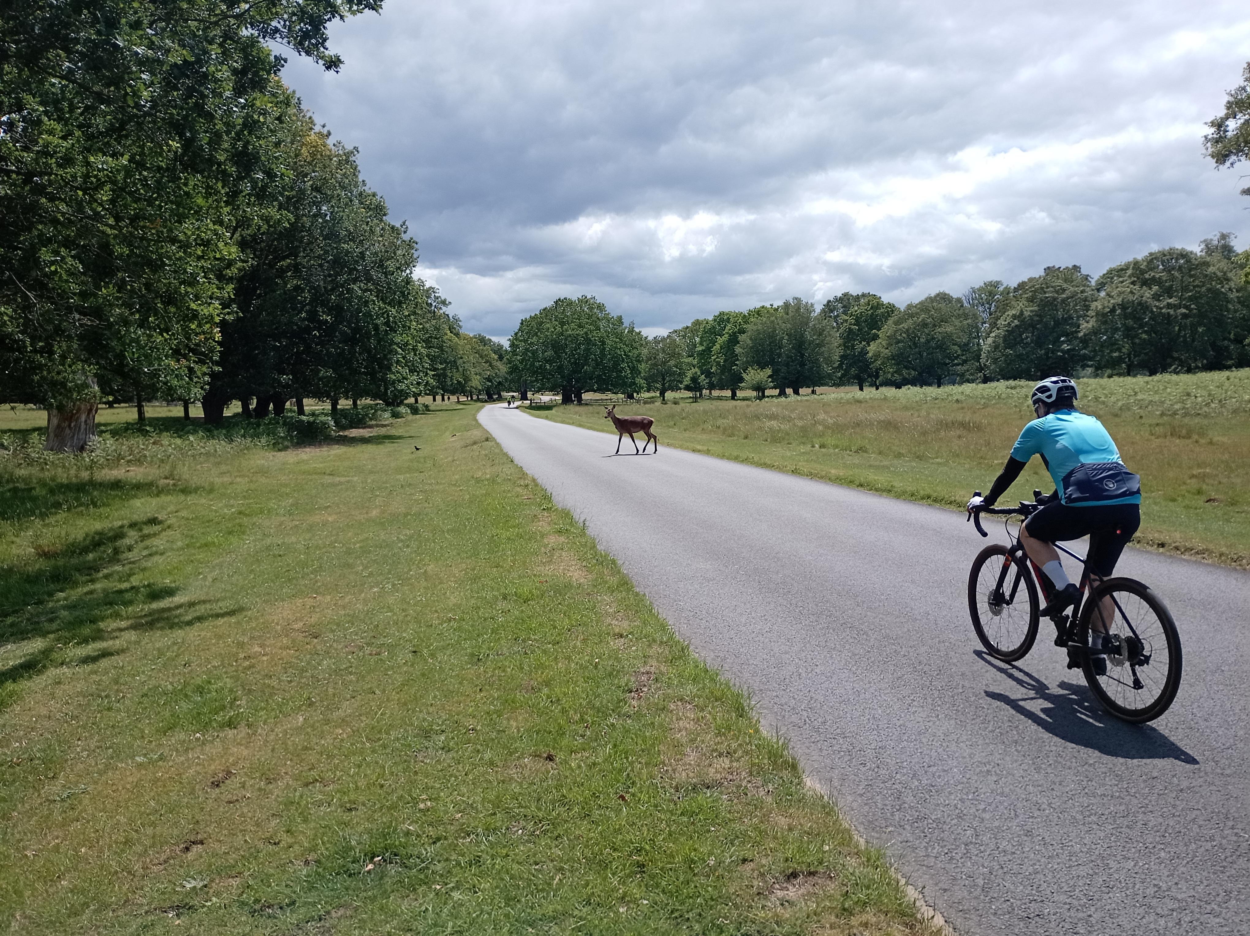 Battersea to Richmond Park E-Bike Adventure