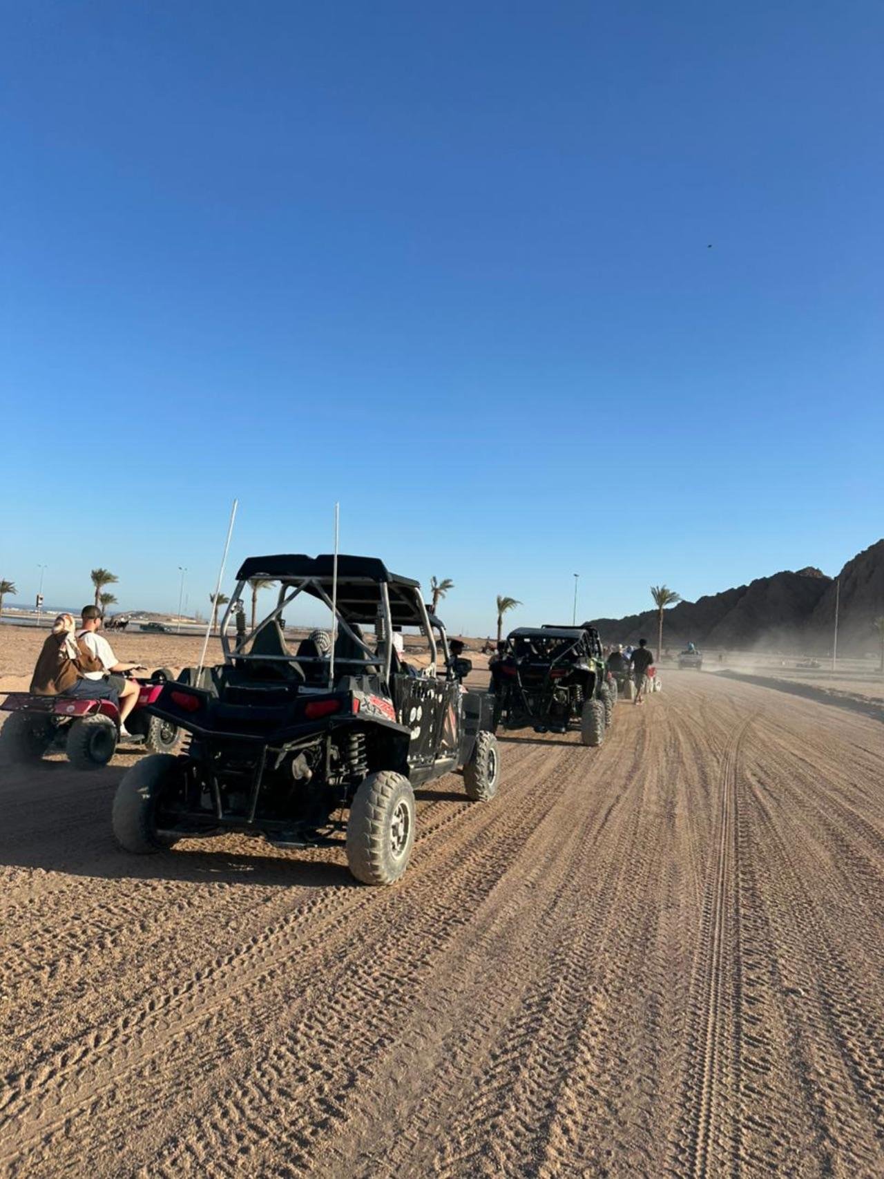 Sharm El Sheikh Desert Safari: Quad Bikes, Camel Ride, Dinner & Stargazing