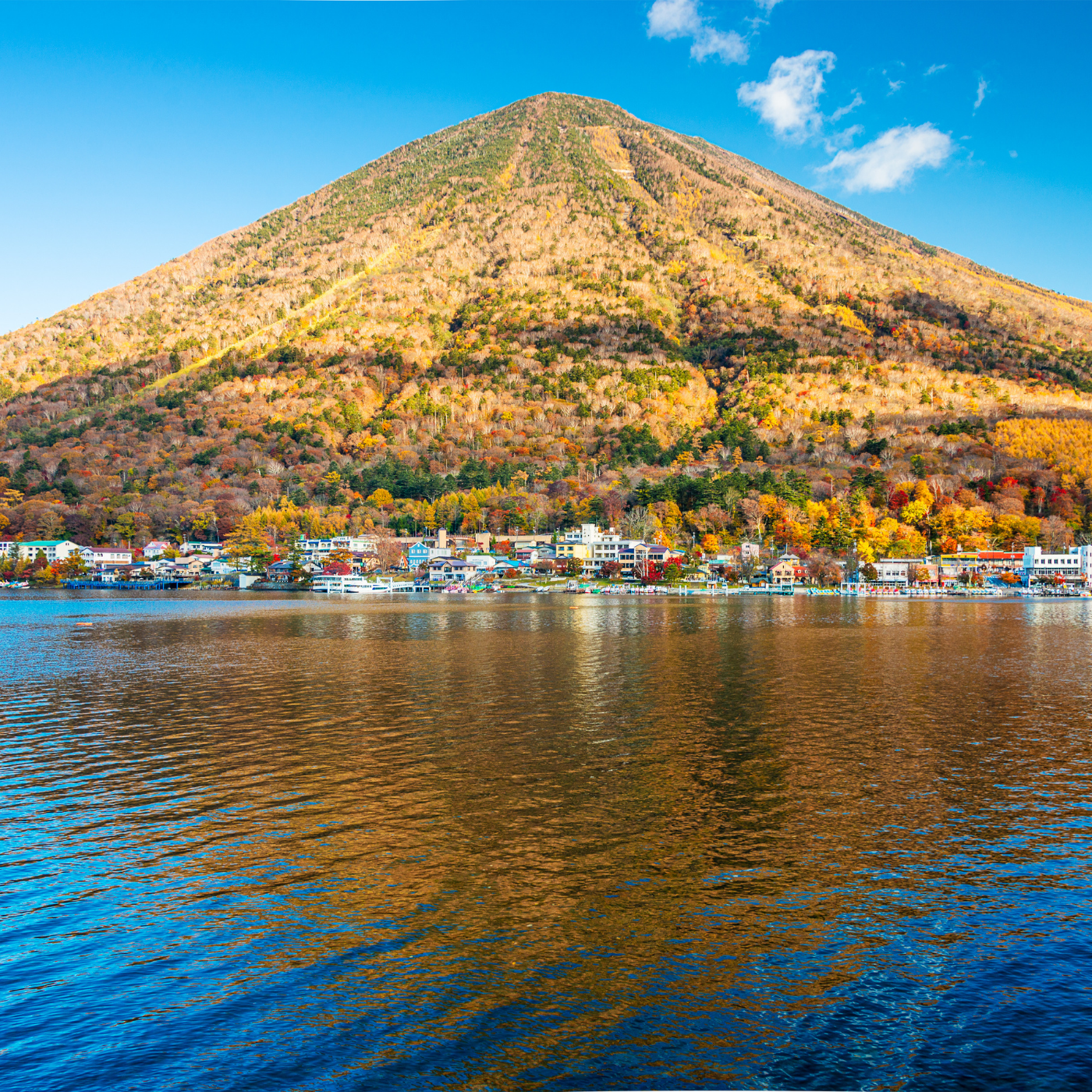 Private Nikko Day Tour from Tokyo – Fully Customizable