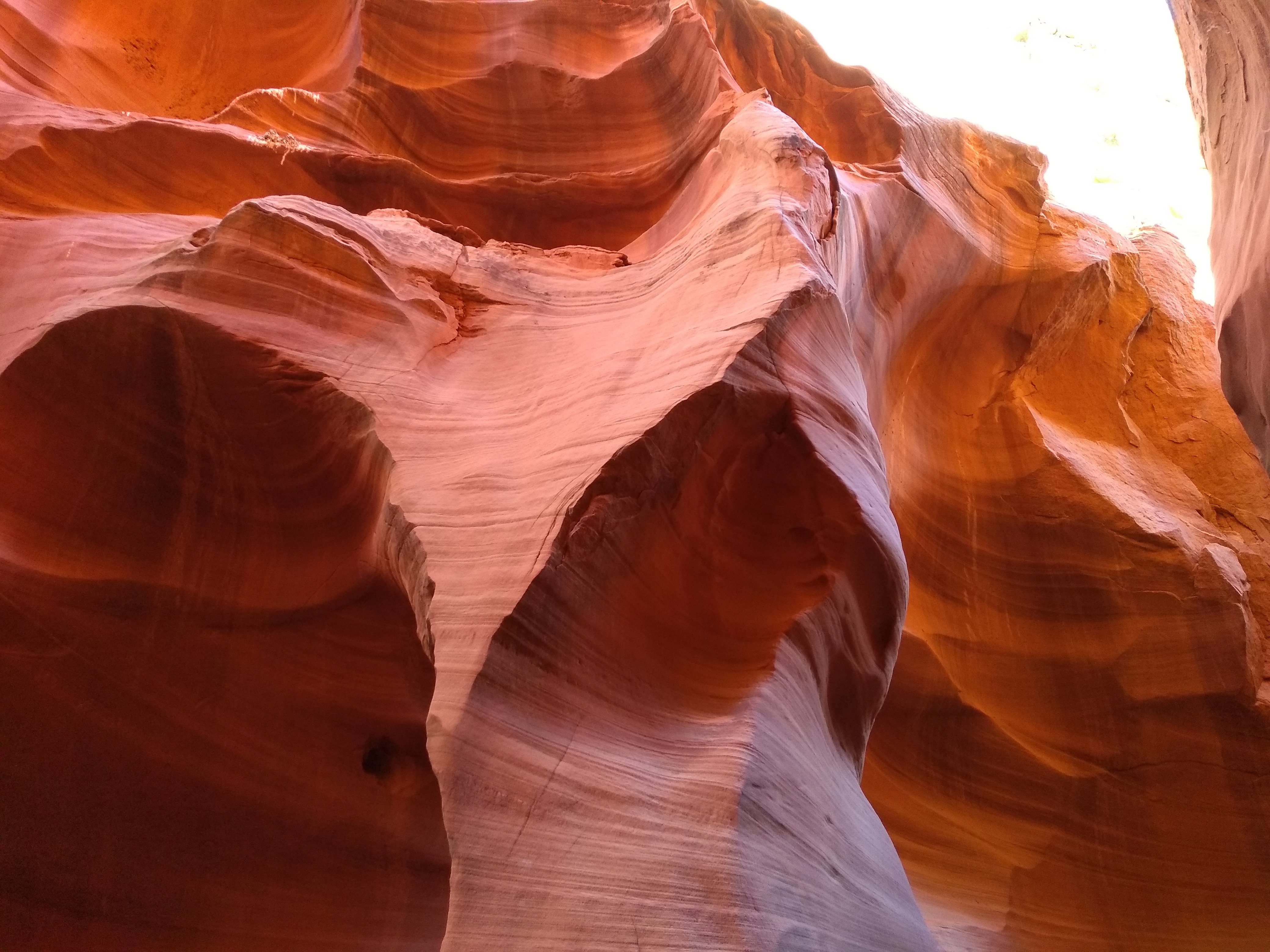 Lower Antelope Canyon slot-canyon tour, Page Arizona — image 10