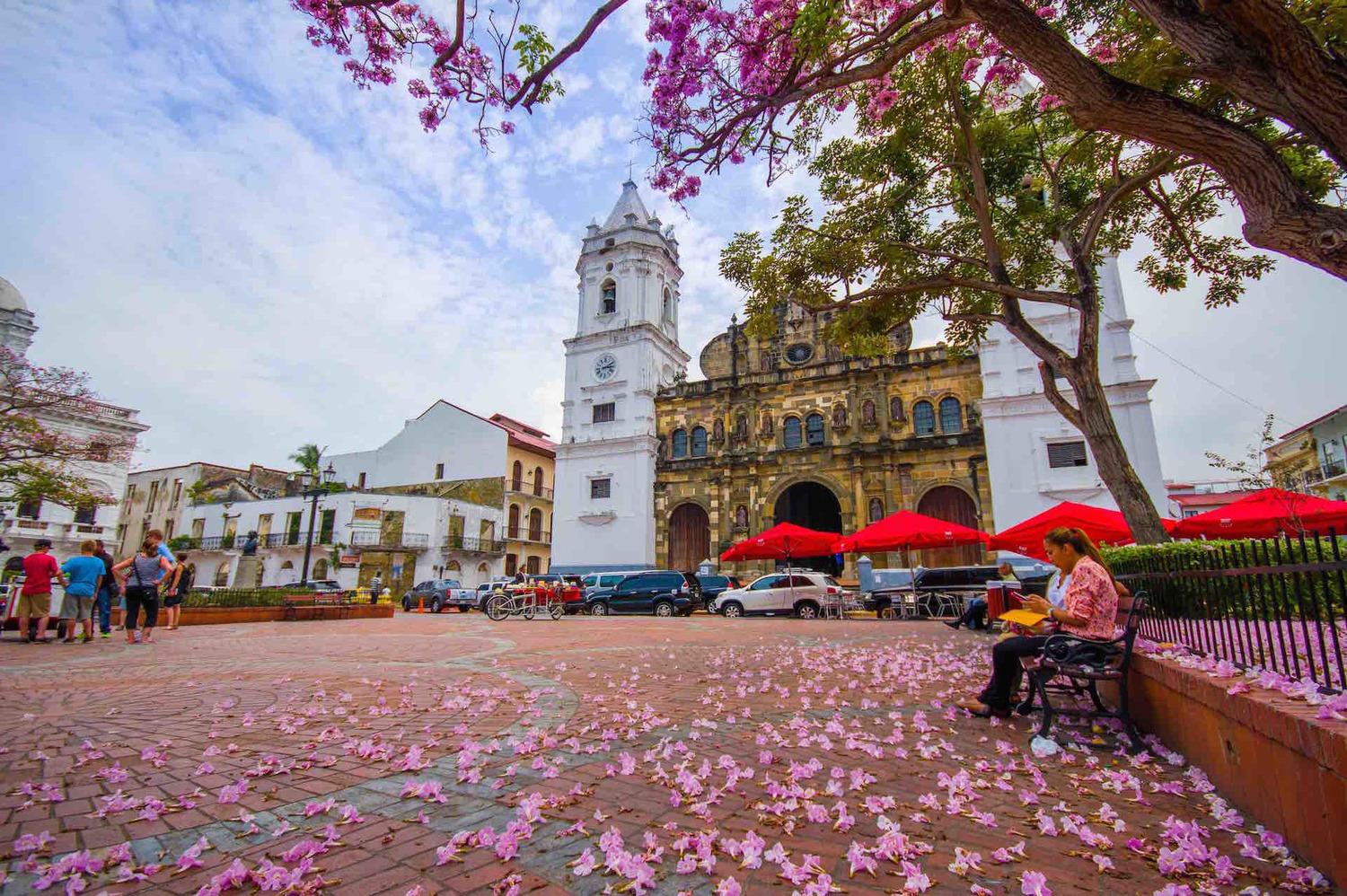 Private Panama City, Canal & Casco Viejo Explorer
