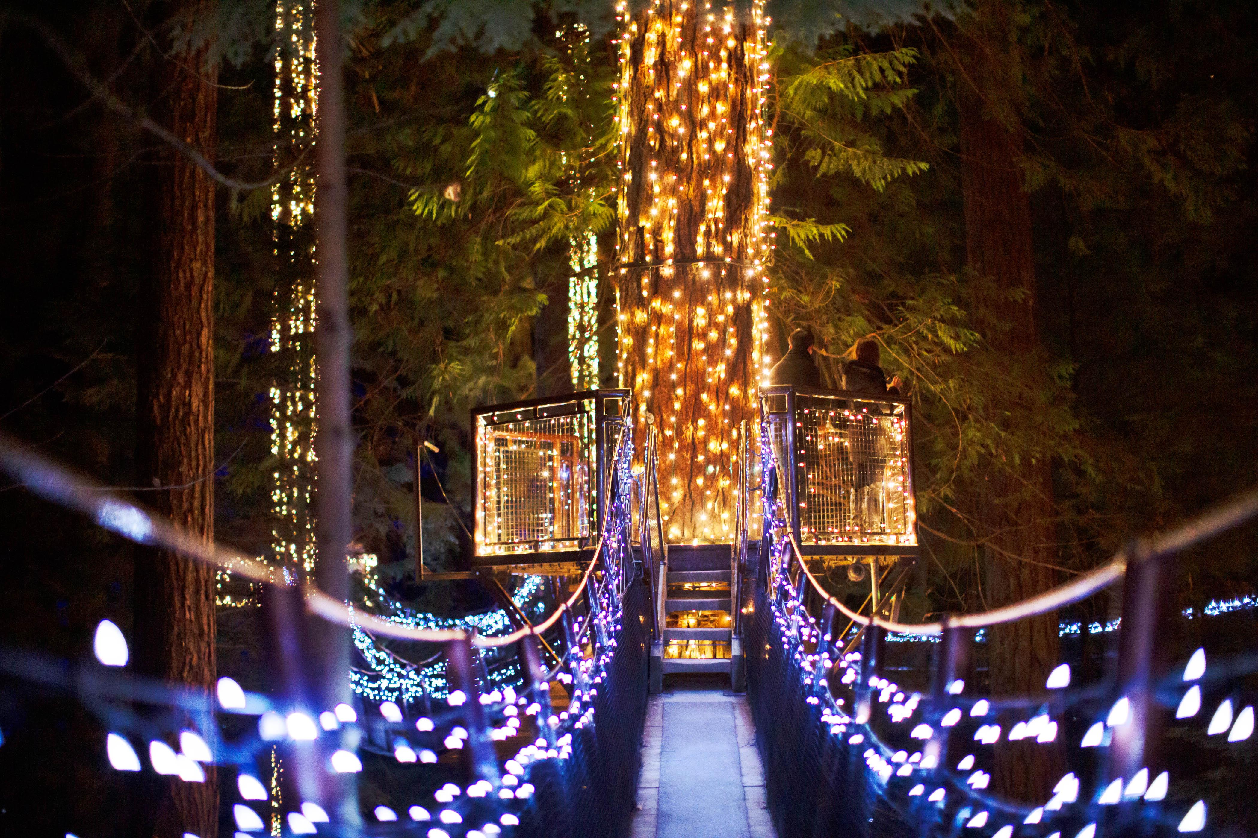 Capilano Suspension Bridge Park Entry