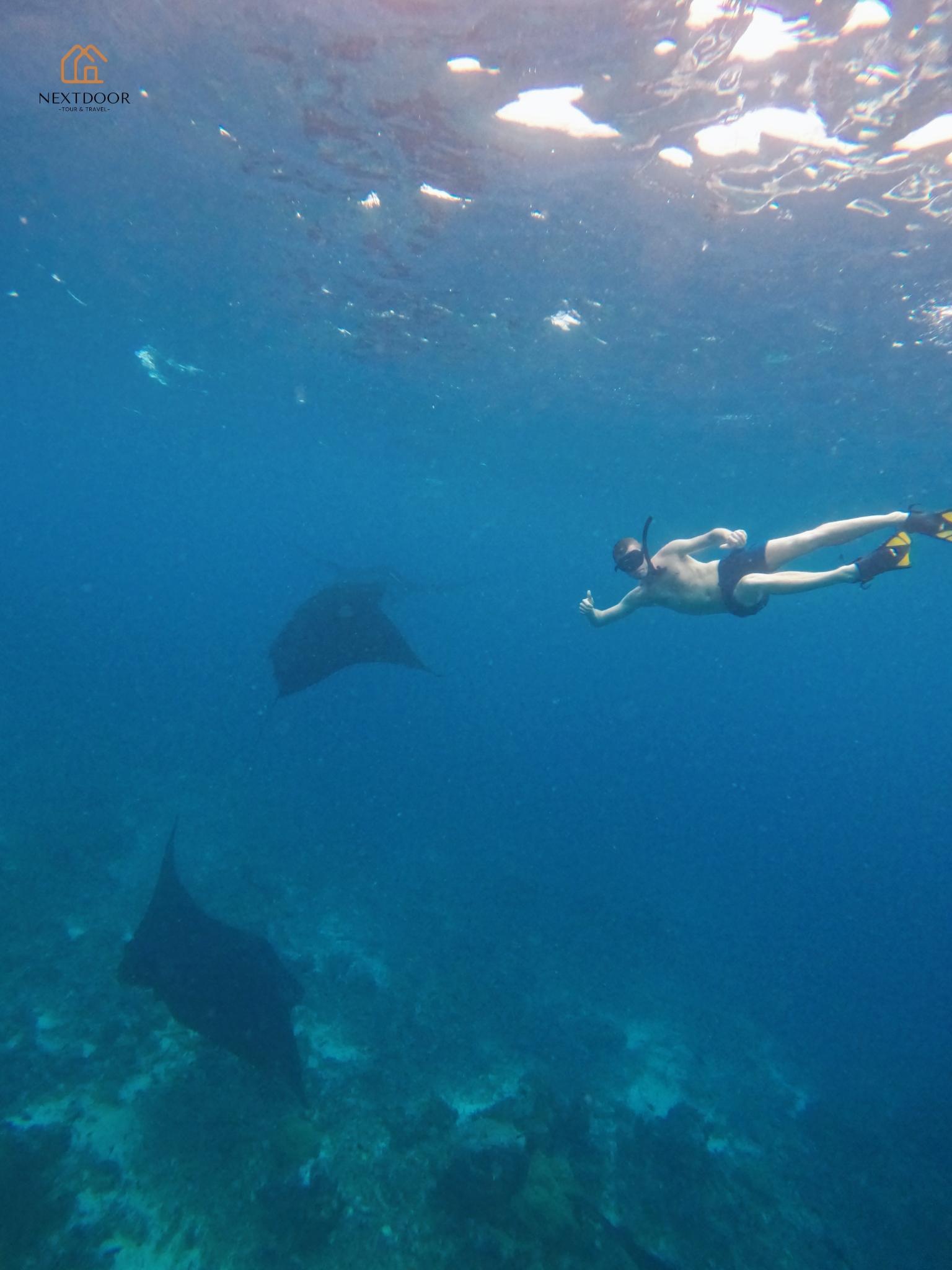 Komodo & Pink Beach 2-Day Shared Boat Adventure from Labuan Bajo