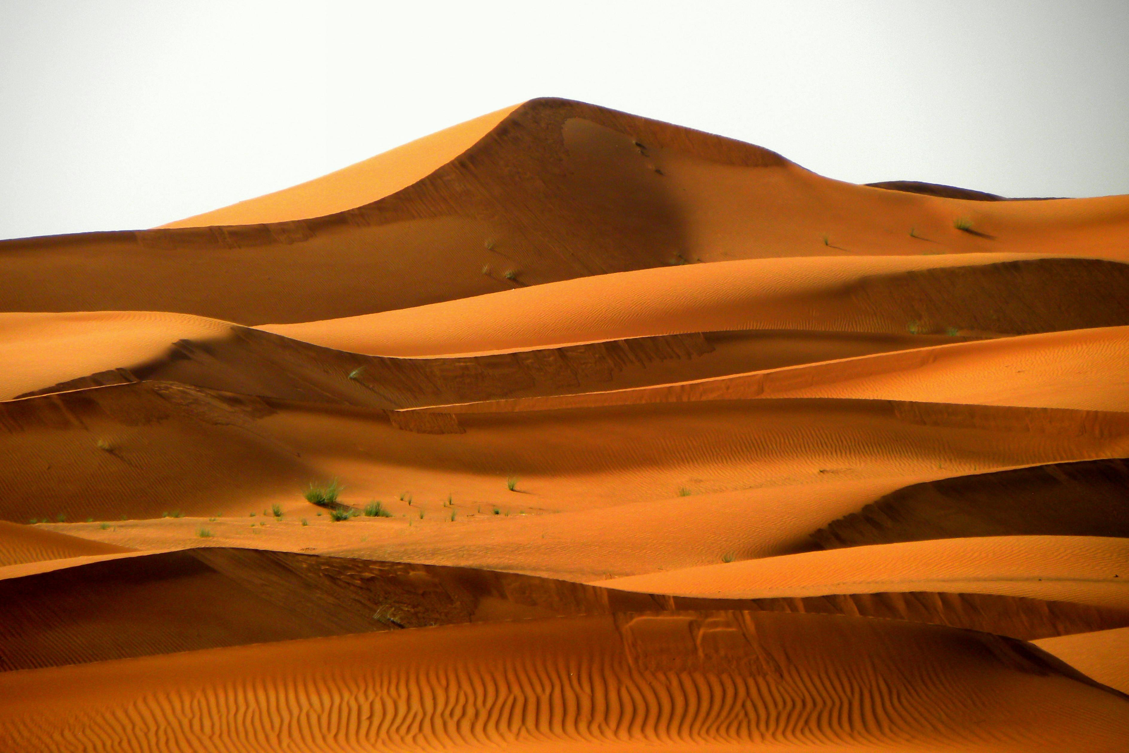 Wahiba Sands & Wadi Bani Khalid Desert Adventure