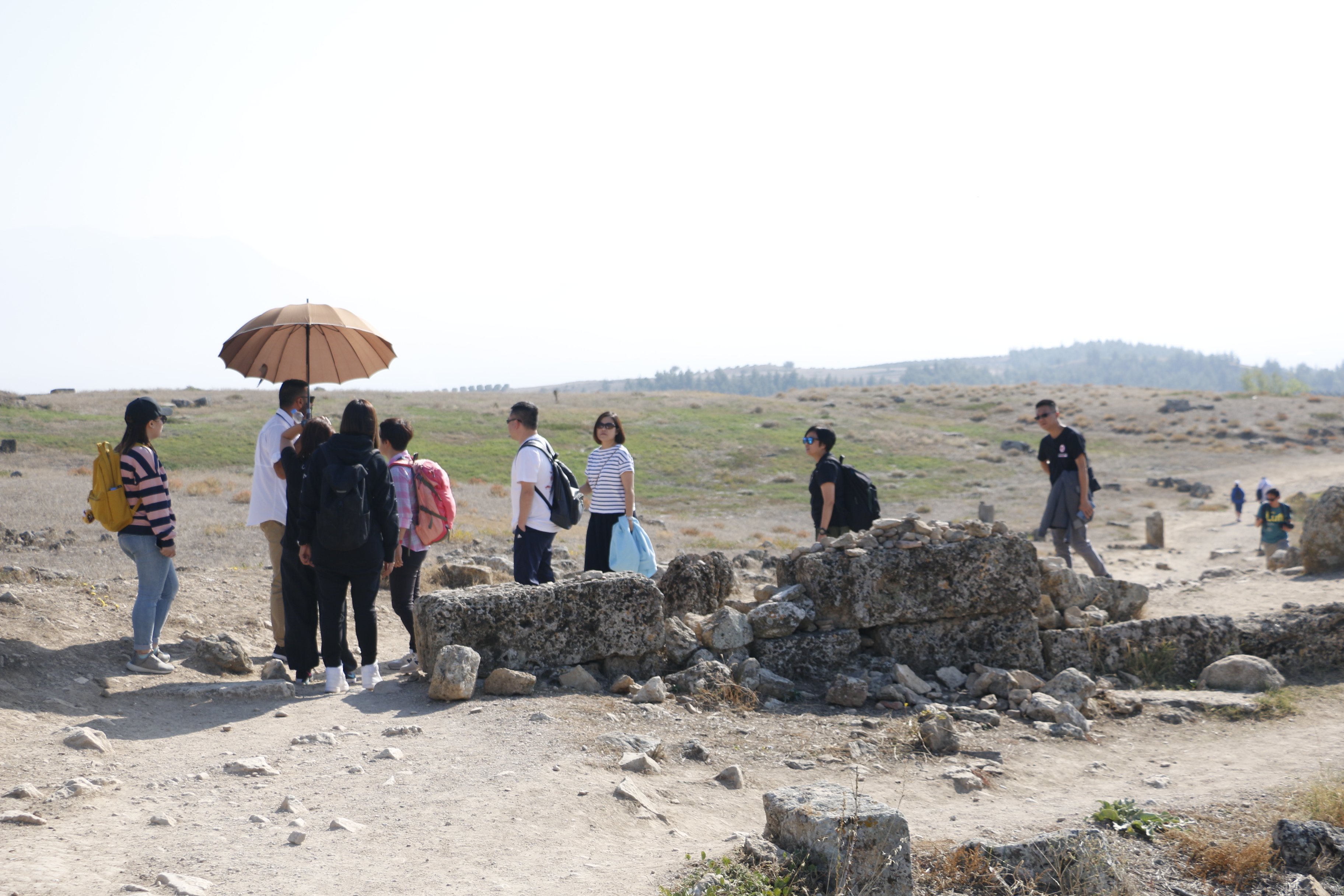 2-Day Ephesus and Pamukkale Excursion from Istanbul