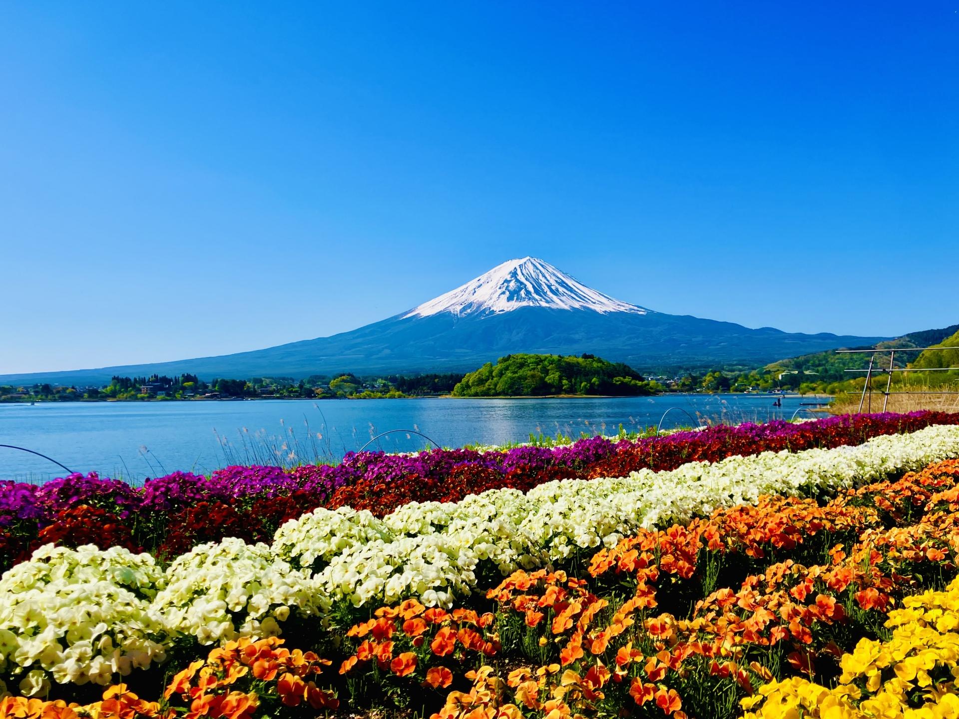 Mount Fuji Day Tour: Chureito Pagoda, Lake Kawaguchi & Oshino Hakkai
