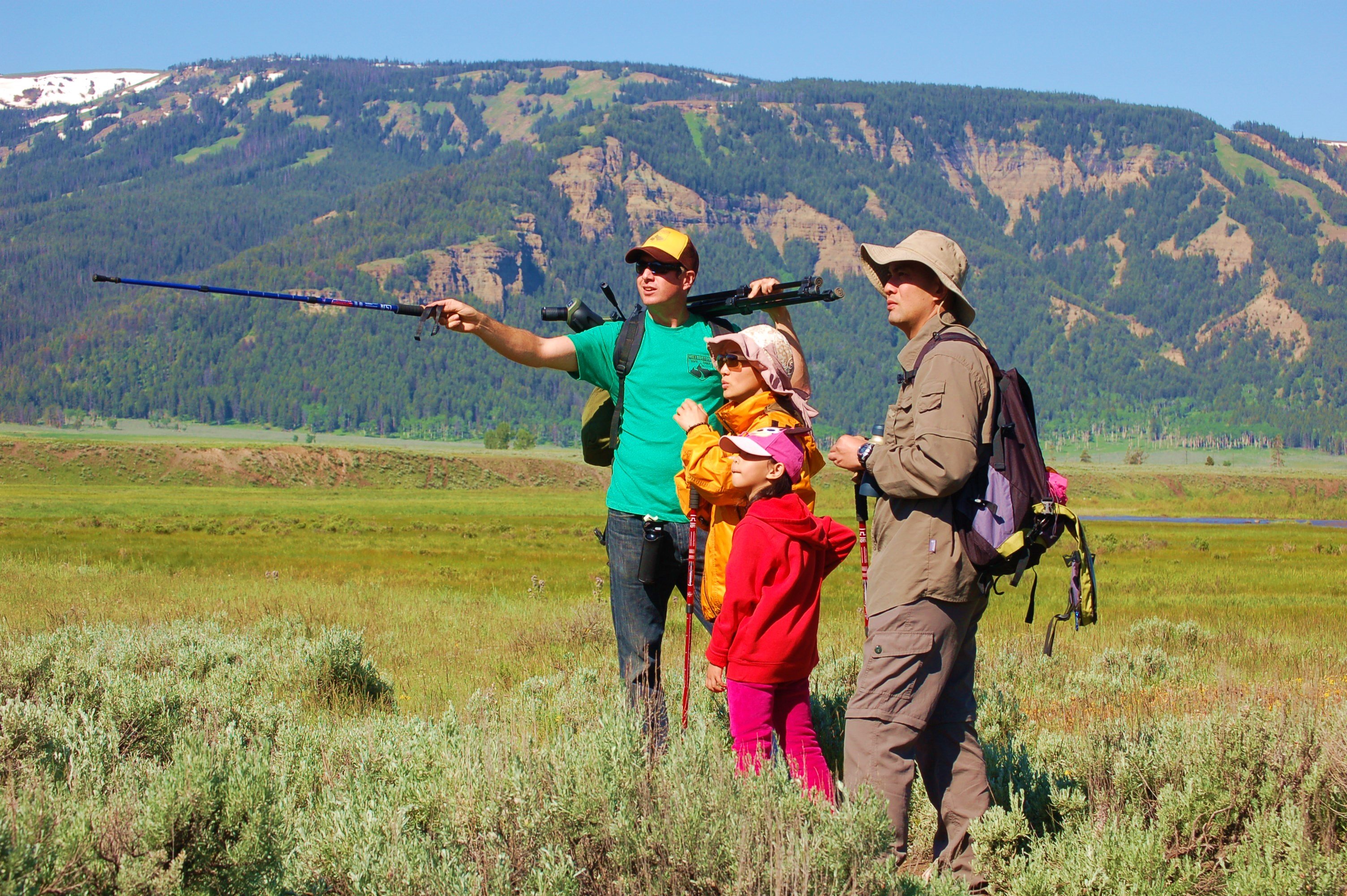 Lamar Valley Safari Hiking Adventure with Riverside Lunch