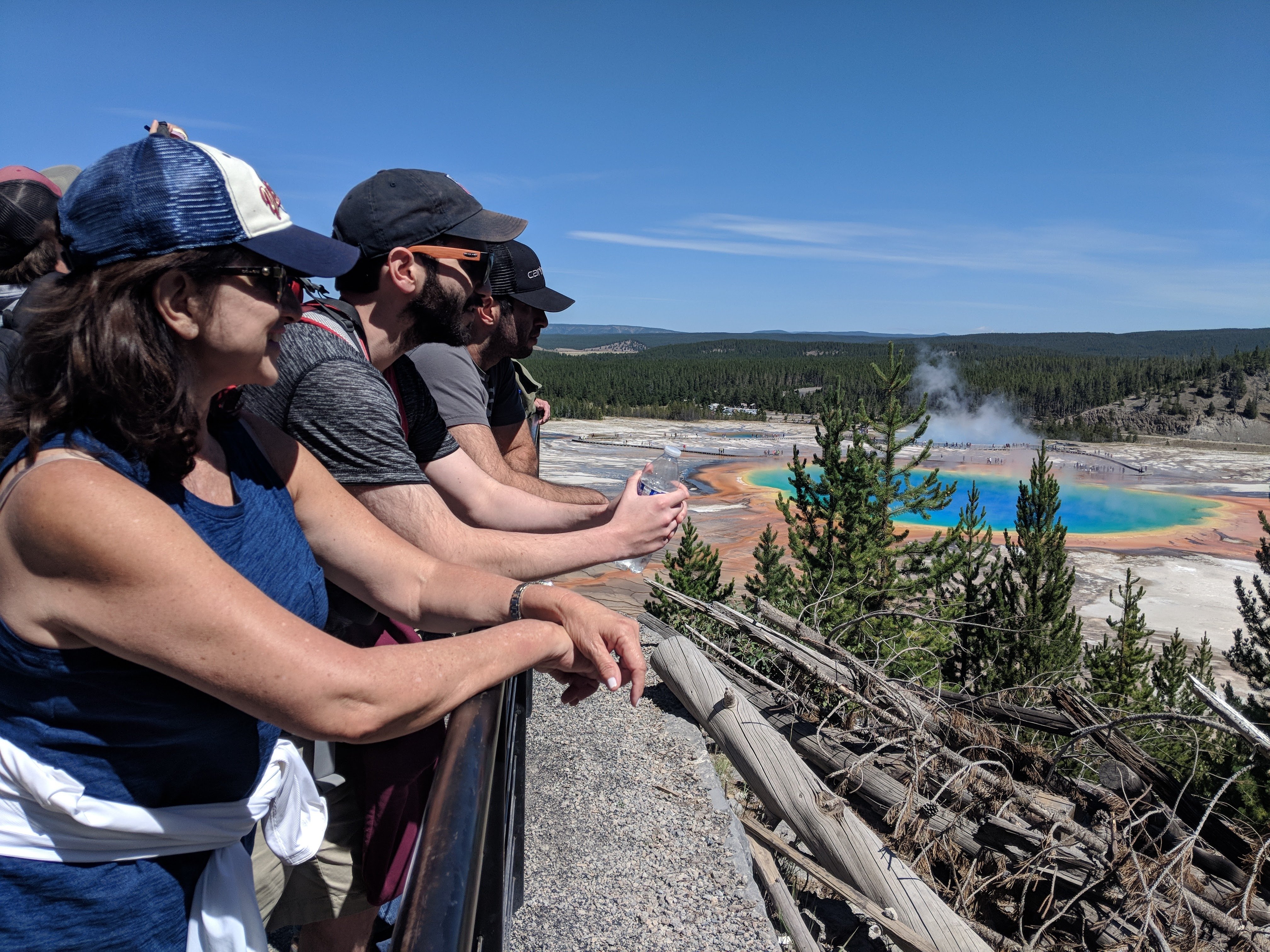 Yellowstone Lower Loop Active Van Tour from West Yellowstone