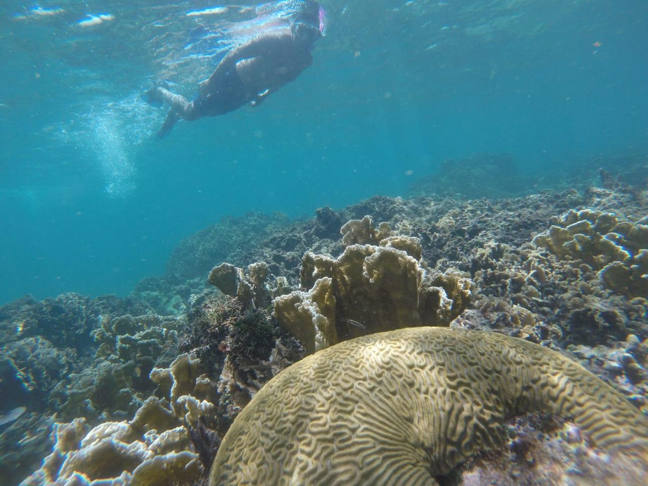 Tulum Sailing & Reef Snorkel Adventure
