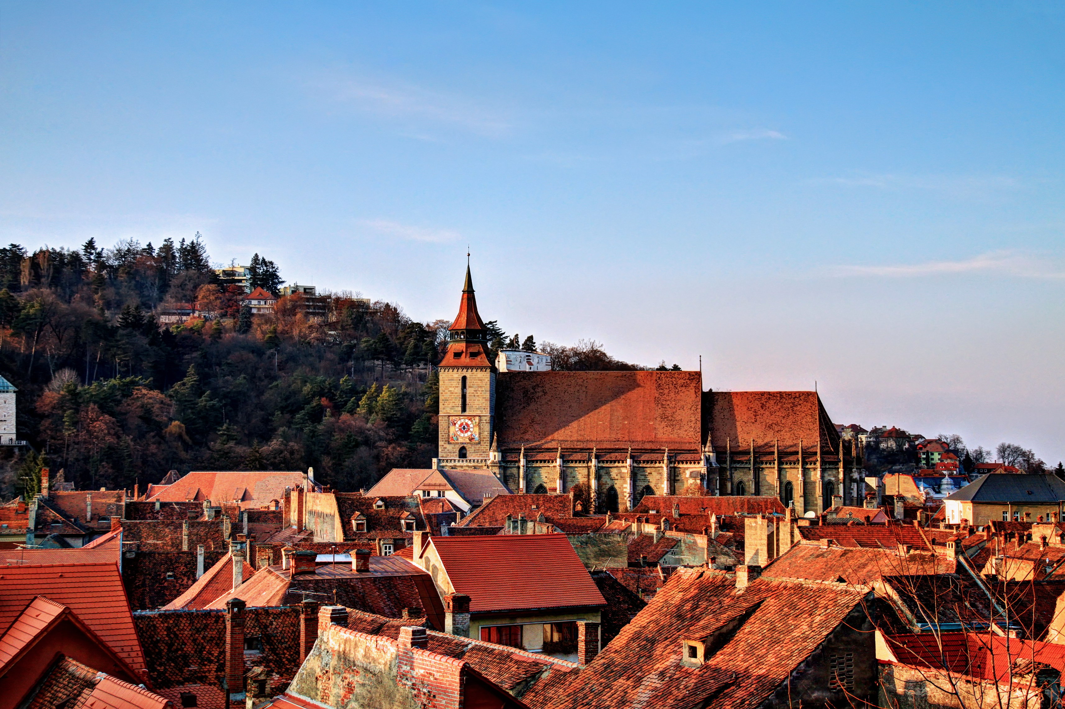 Bucharest to Transylvania: Bear Sanctuary, Bran Castle & Brasov