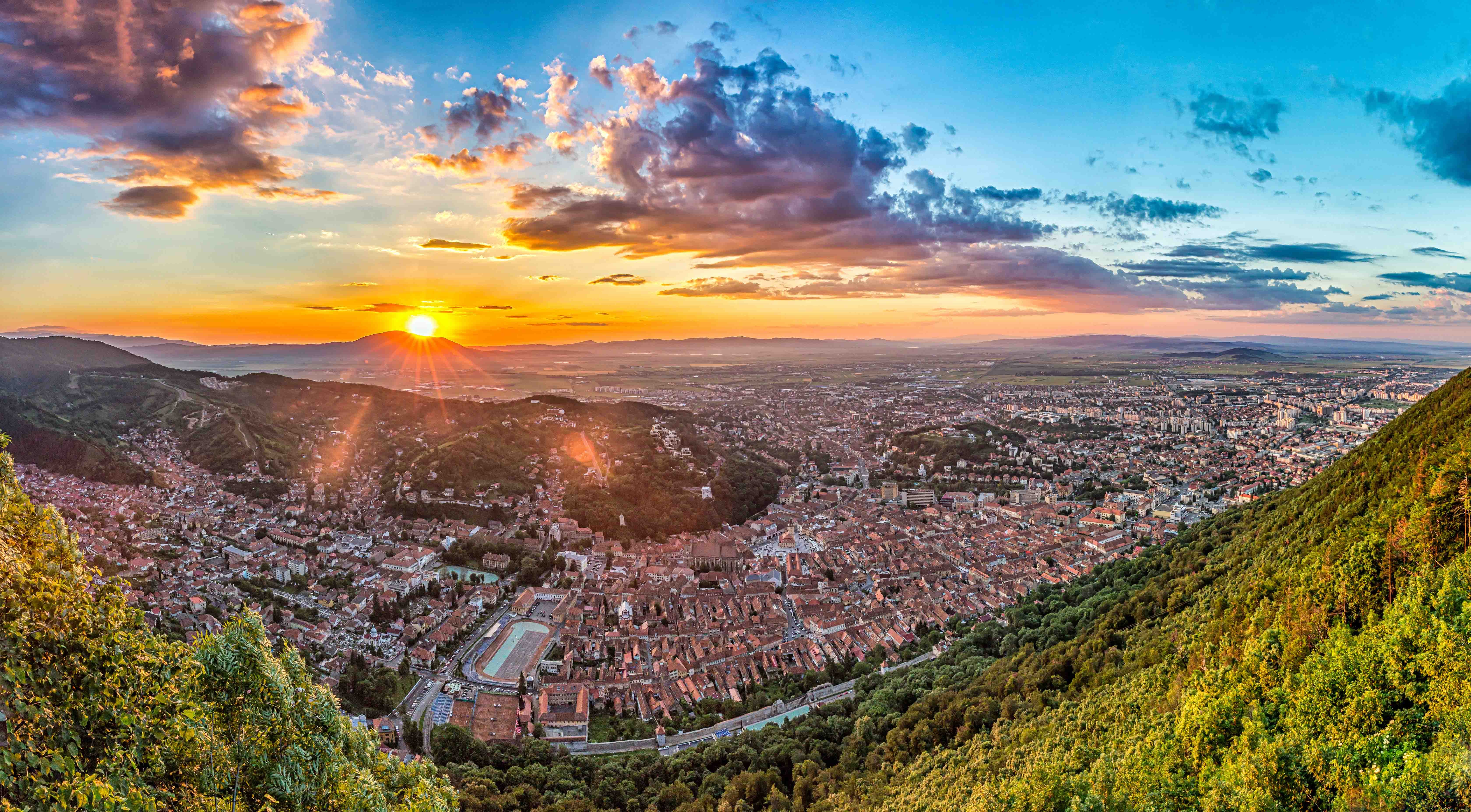 Bucharest to Transylvania: Bear Sanctuary, Bran Castle & Brasov