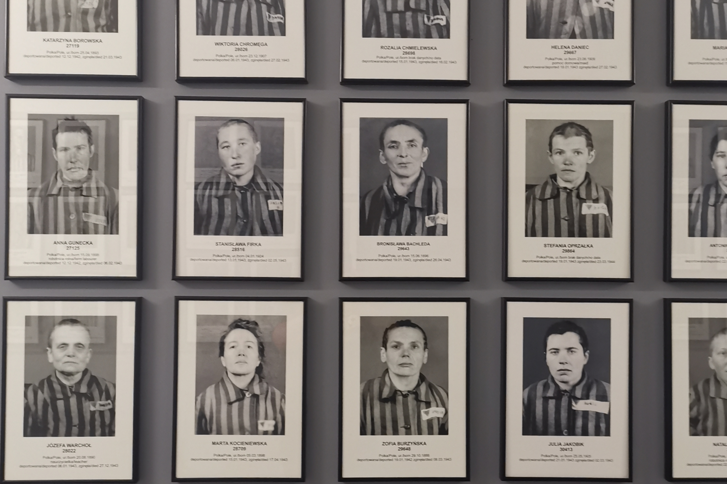 Wycieczka z przewodnikiem do Miejsca Pamięci Auschwitz-Birkenau z Krakowa