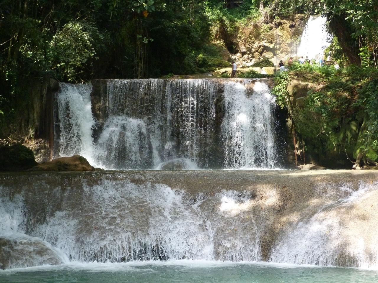 Jamaica’s Best: Rum, Safari & YS Falls Day Trip