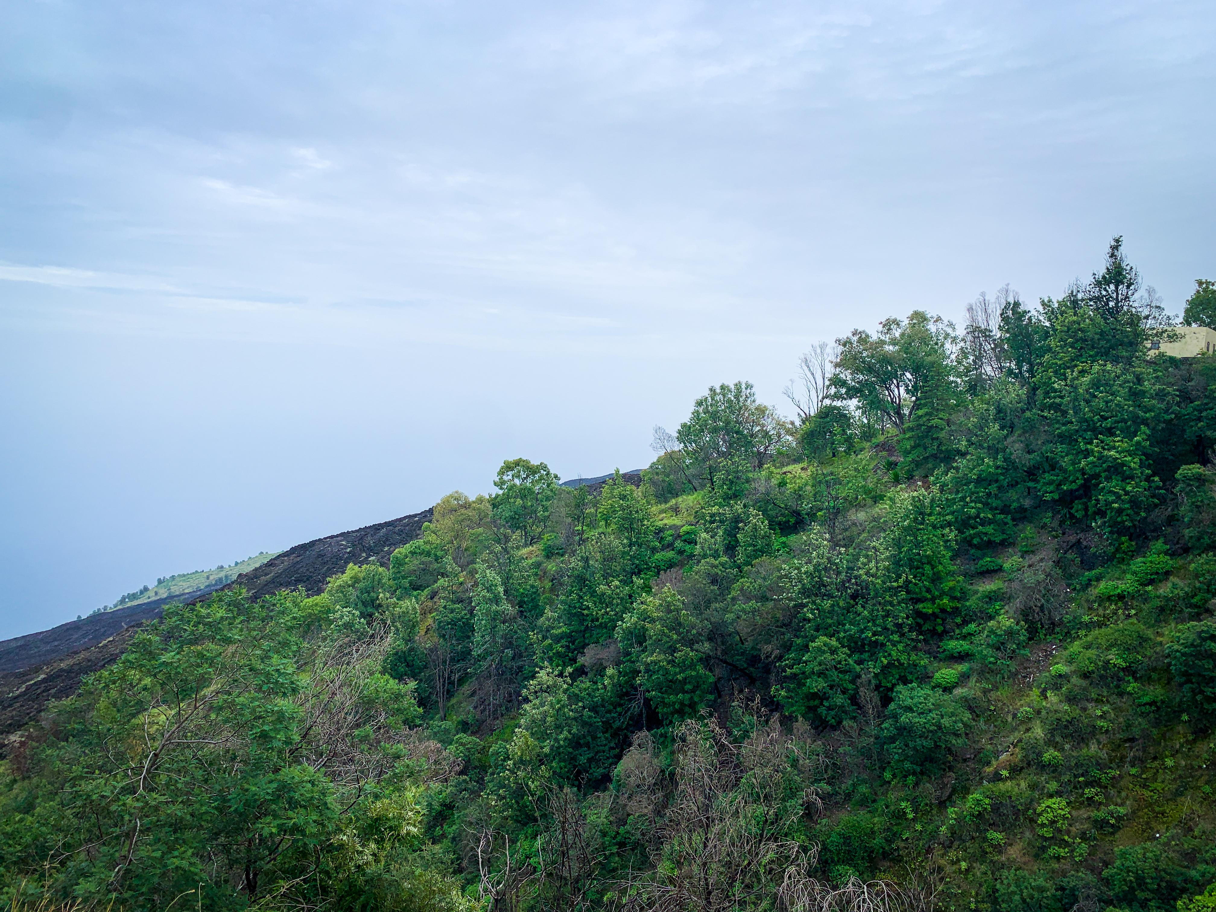 Coffee Plantation & Natural Pools Day Tour from São Filipe