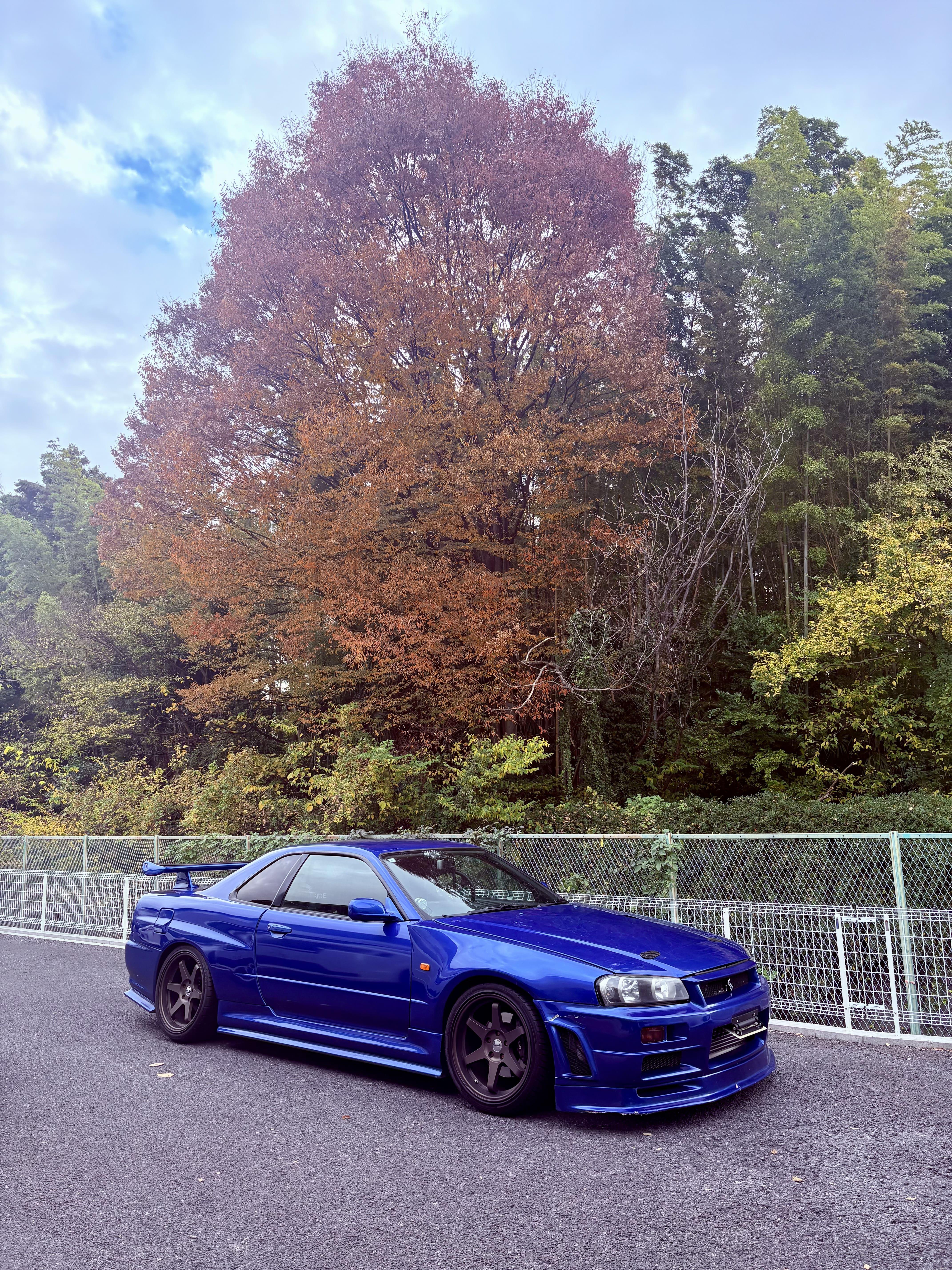 Daikoku: Join a Car Club and Experience Japan’s Auto Scene