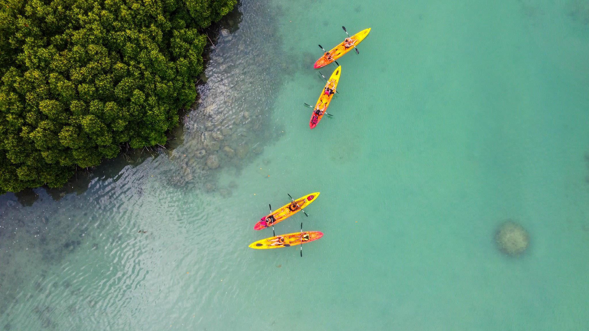Île d'Ambre Mangrove Kayaking Tour
