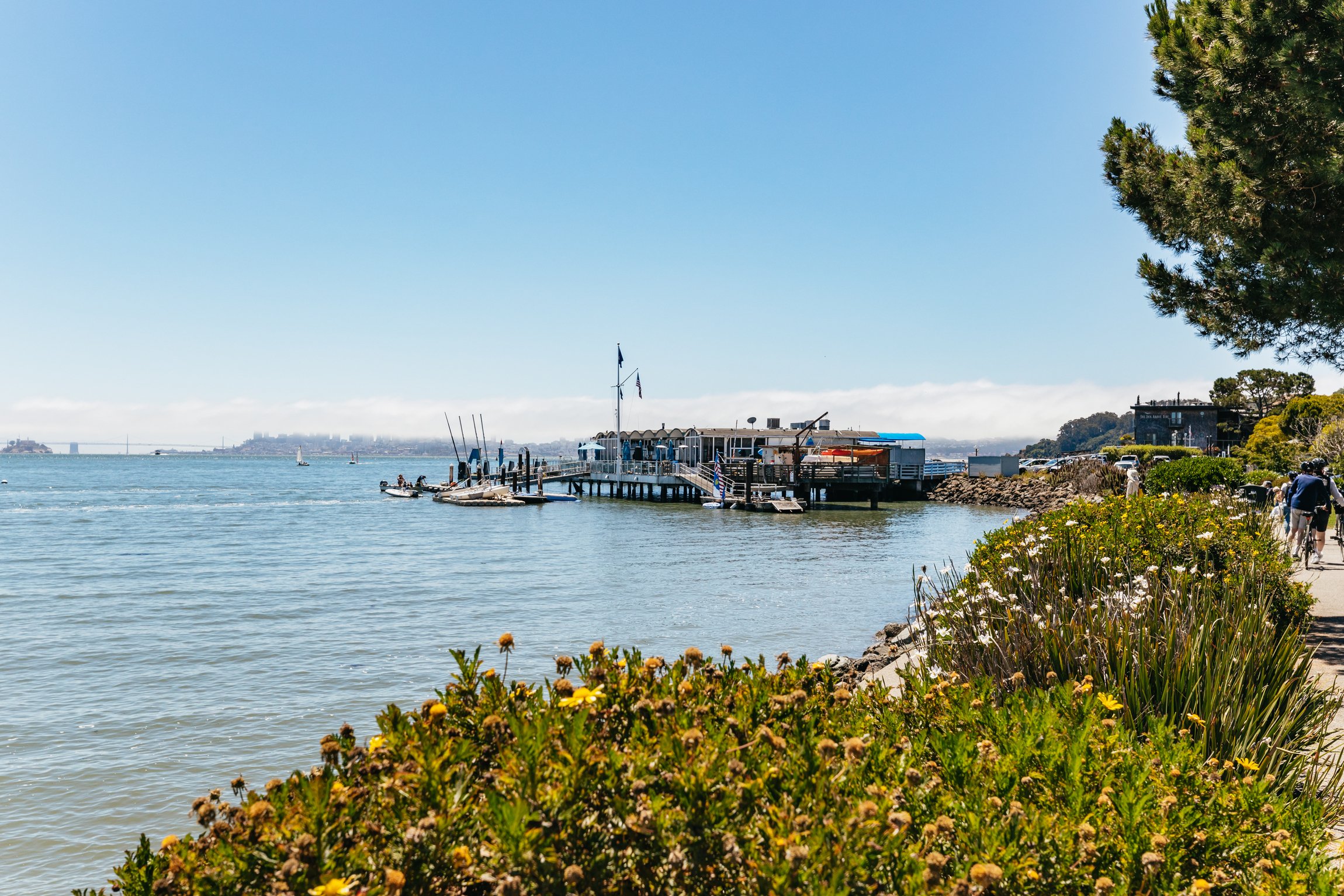 Excursion d'une journée en petit groupe à Muir Woods et Sausalito