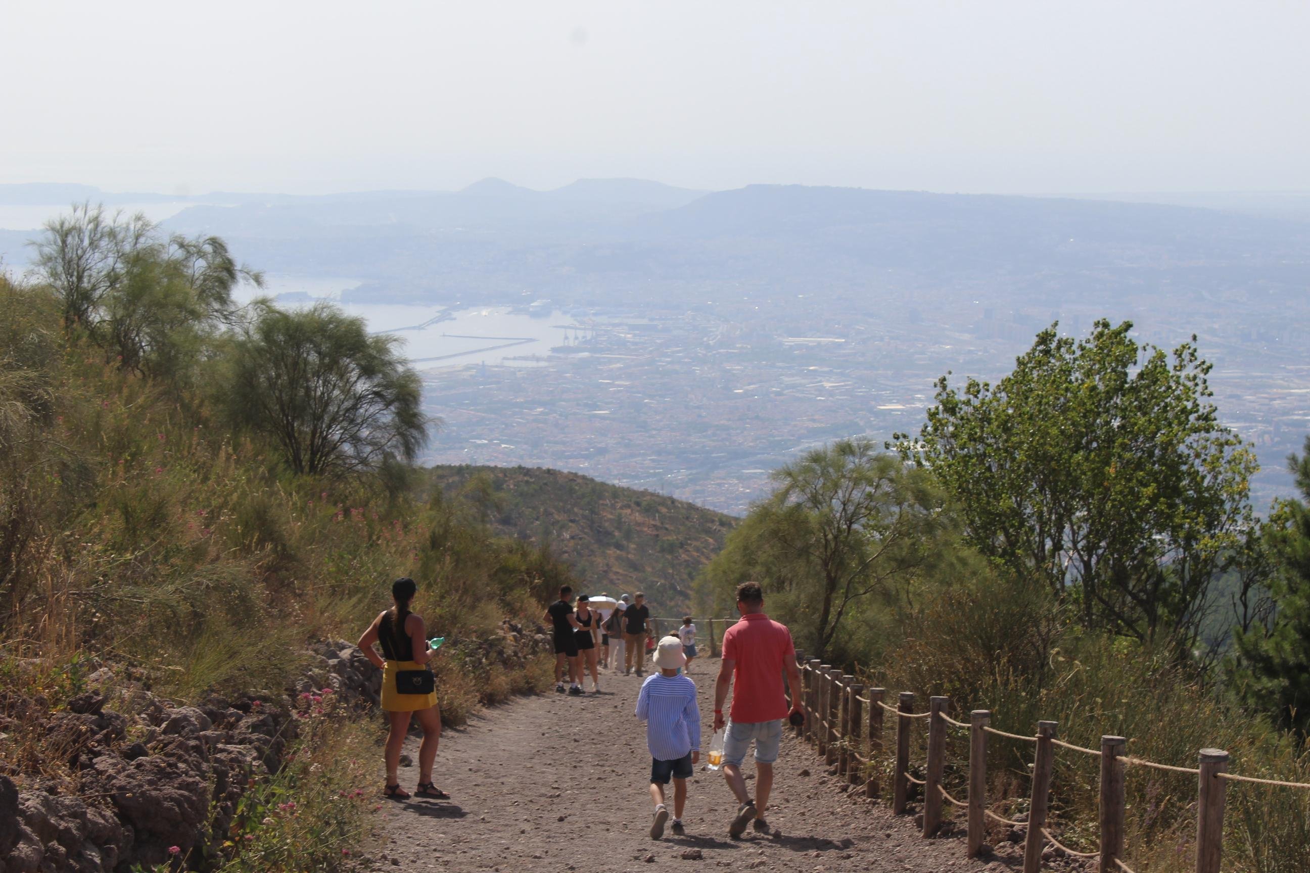 From Naples: Pompeii and Vesuvius Tour with Lunch Included - Mount Vesuvius crater tour and Bay of Naples views