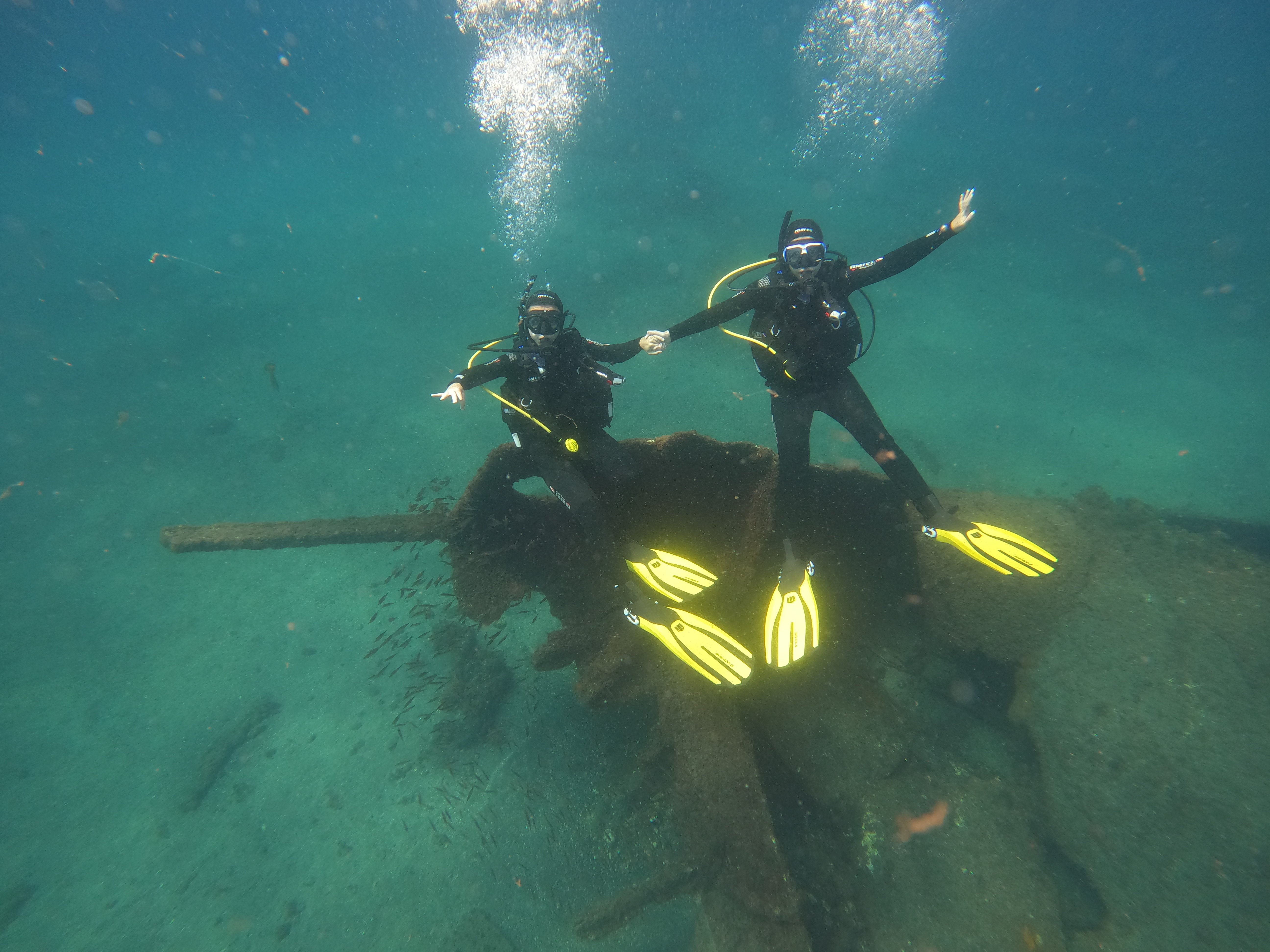 Shipwreck Scuba Discovery in Angra Bay Archaeological Park