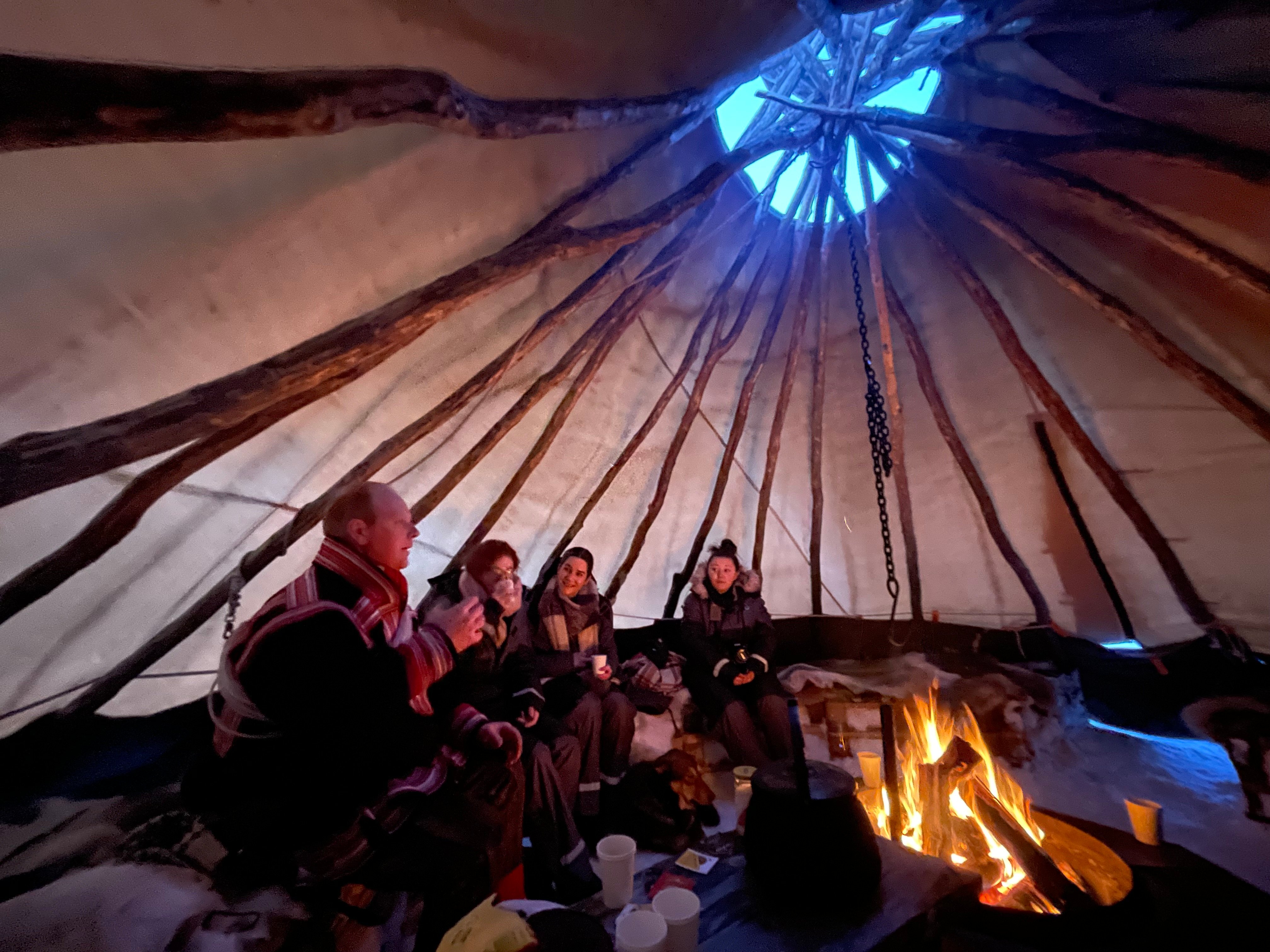 Tromsø: Arctic fjord sightseeing, Reindeer feeding and lunch — Sommarøy island Norway tour photo 4