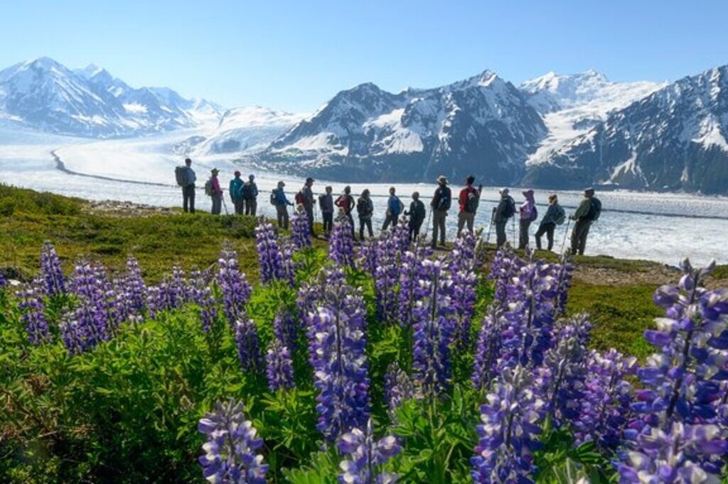 Knik Glacier Helicopter Hike from Anchorage