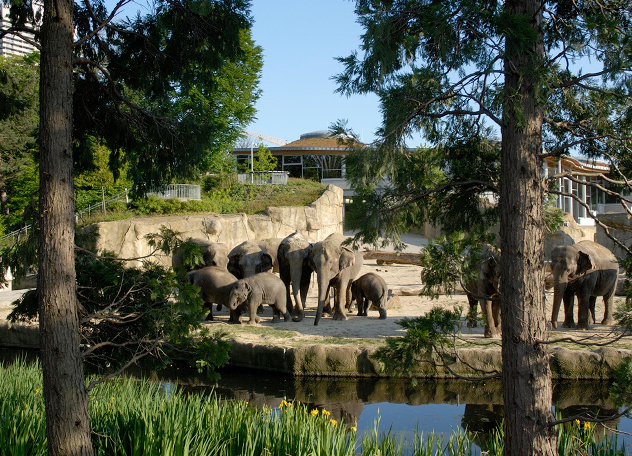 Cologne Zoo & Aquarium Day Pass