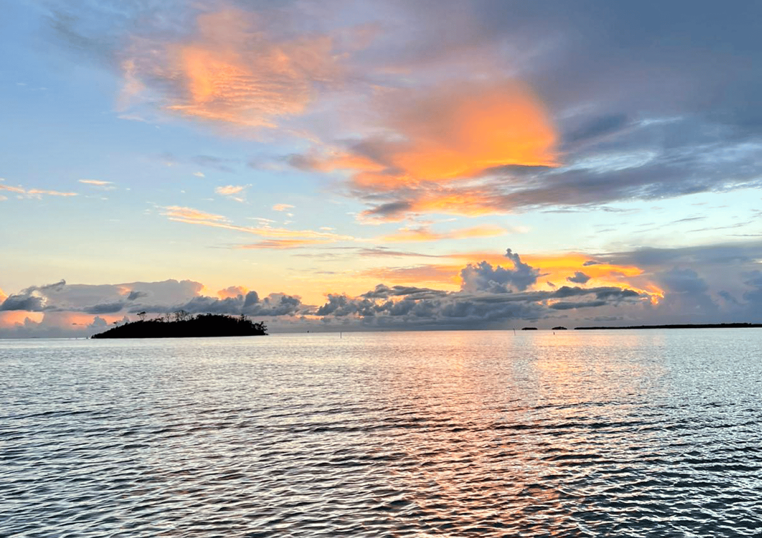 La Parguera Bioluminescent Bay Boat Trip from San Juan