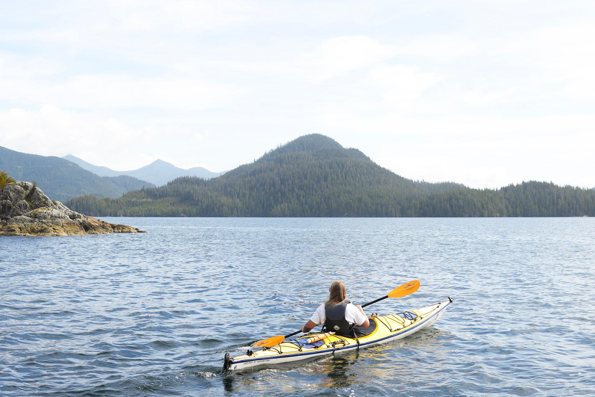 Tofino sea kayaking Clayoquot Sound sheltered coastal waters wildlife — image 7
