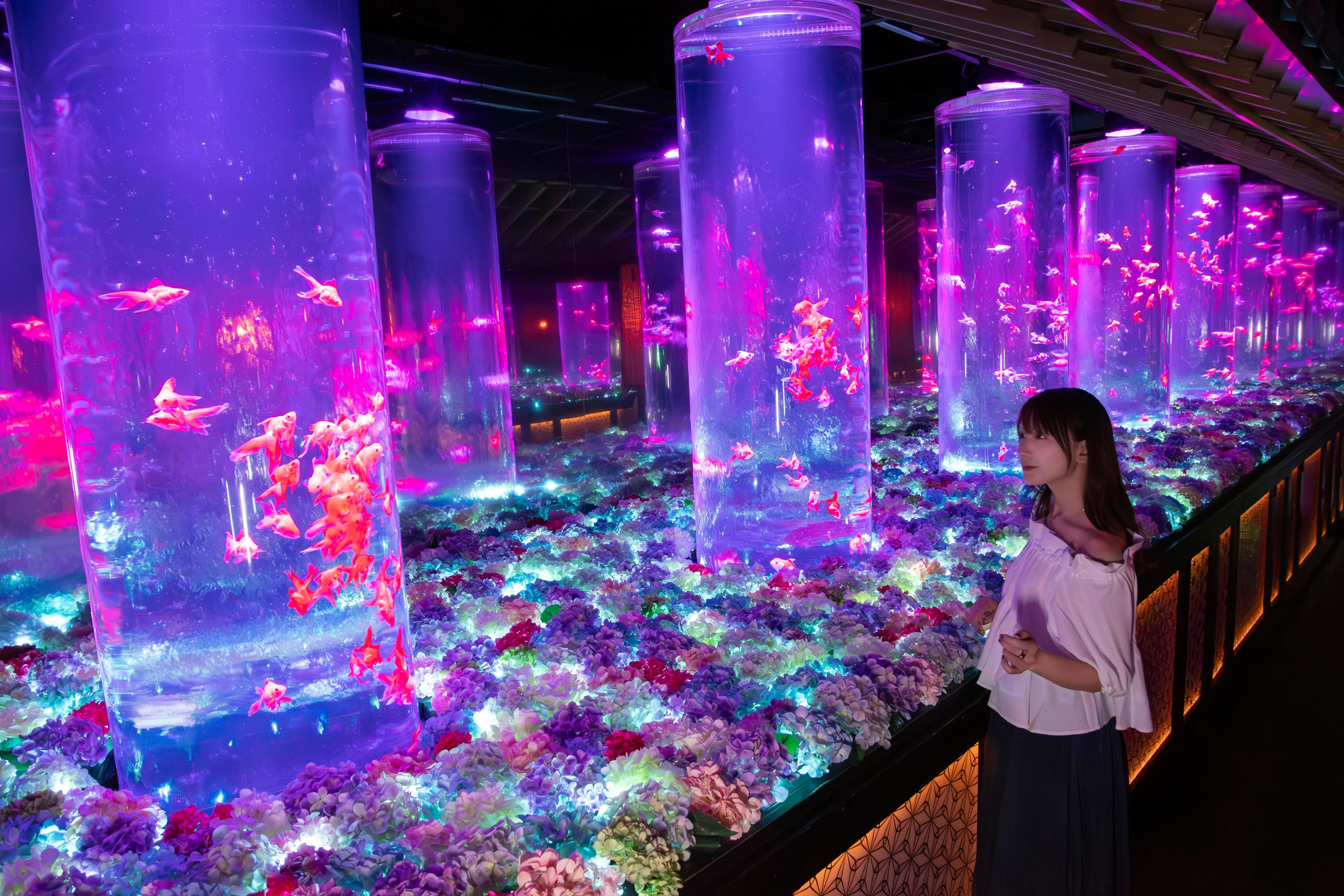 Tokyo Art Aquarium Museum GINZA Admission Ticket