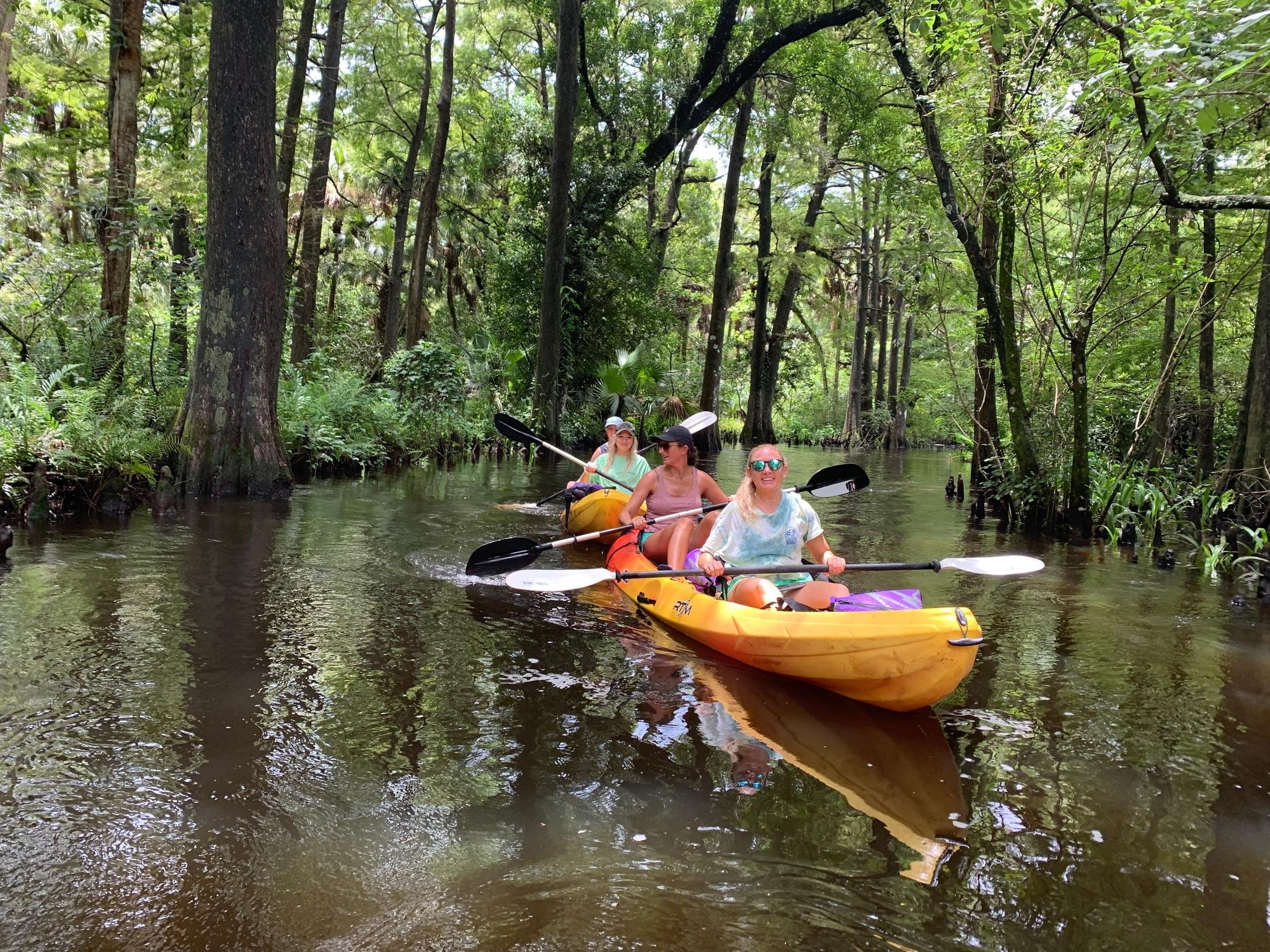 Loxahatchee River Kayak Adventure
