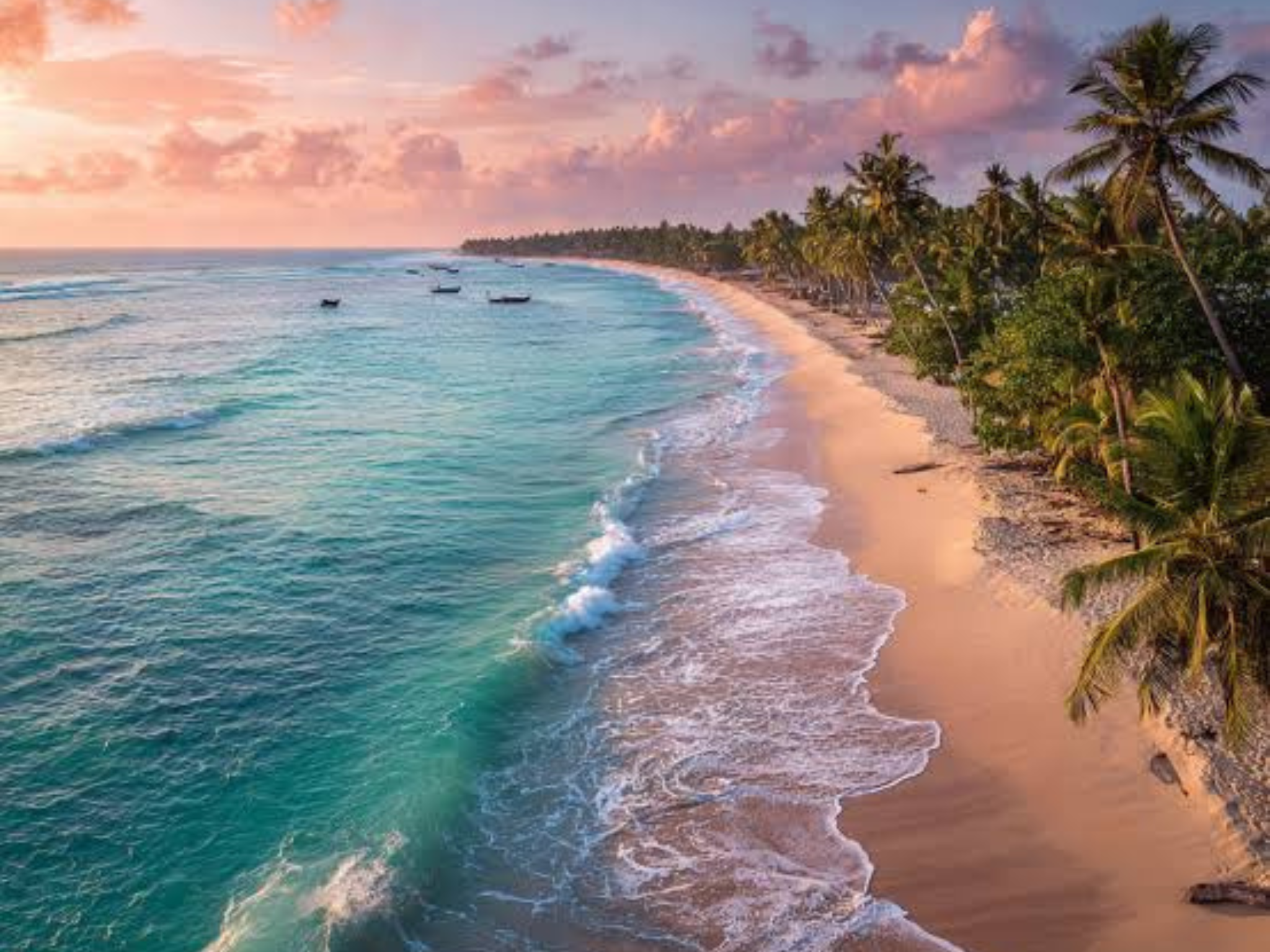 Trincomalee Marine Safari & Coastal Heritage Day Tour from Sigiriya