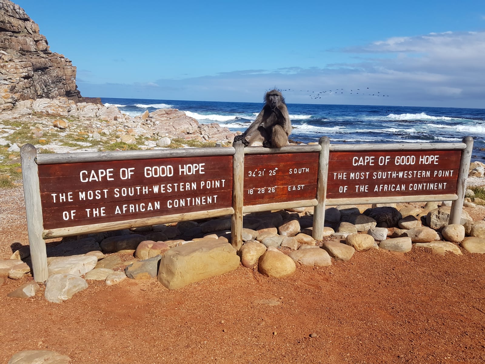 Cape Point & Boulders Beach Full-Day Exploration