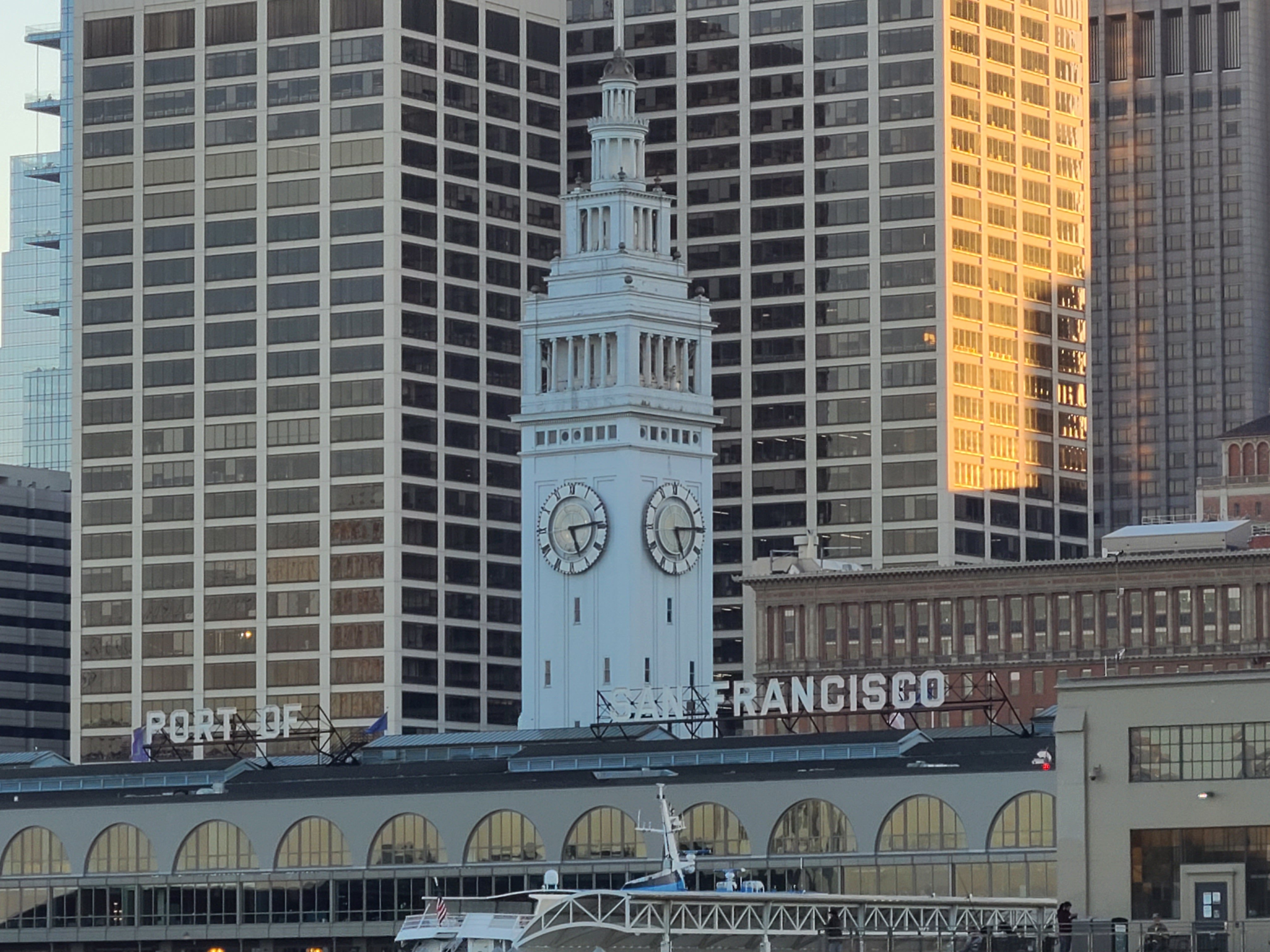 San Francisco: Premier Bay Brunch or Dinner Cruise
