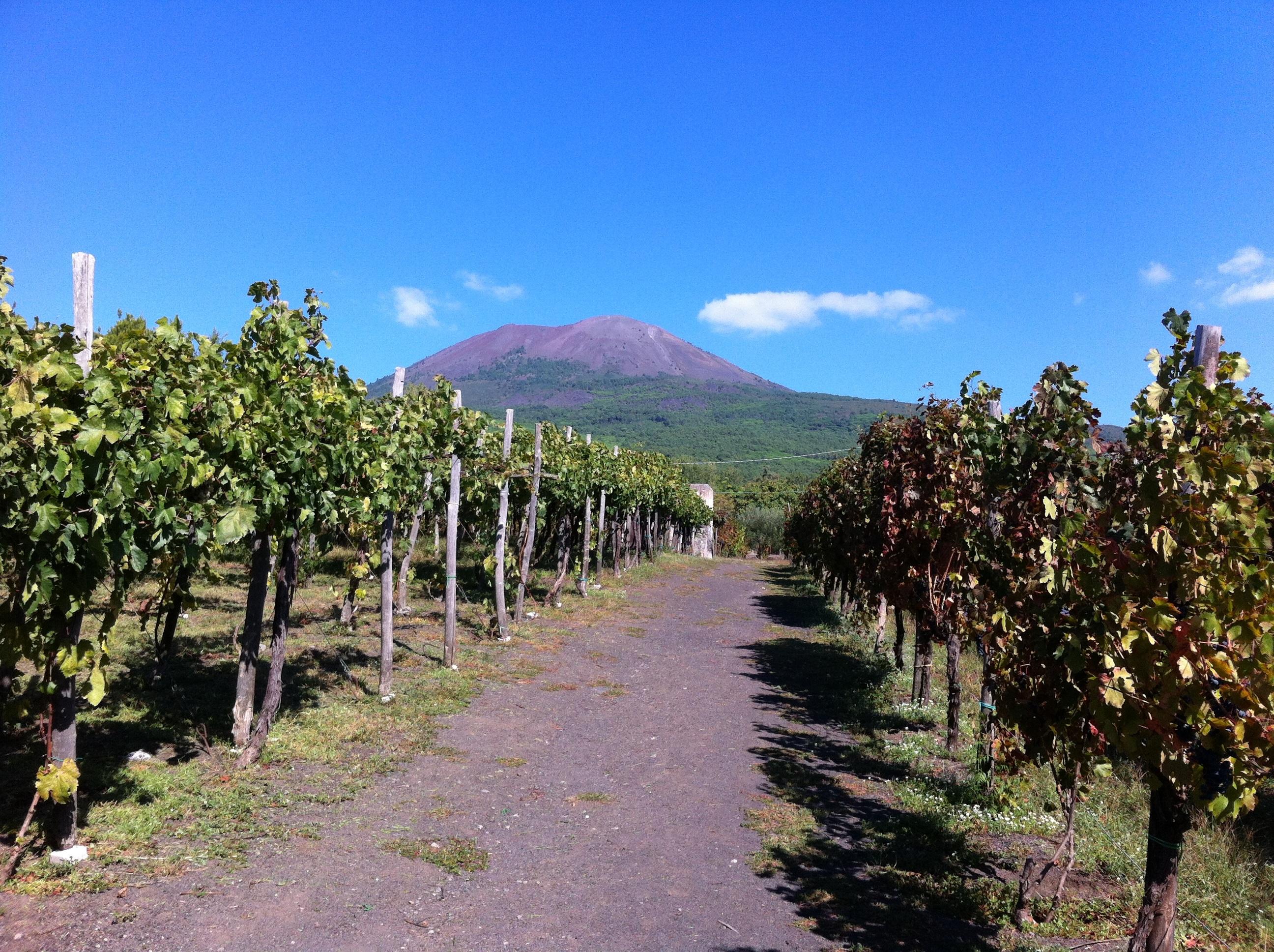 From Sorrento: Skip-the-Line Guided Vesuvius Hike and Lunch - Mount Vesuvius crater tour and Bay of Naples views