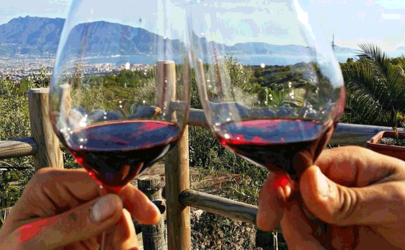 From Sorrento: Skip-the-Line Guided Vesuvius Hike and Lunch - Mount Vesuvius crater tour and Bay of Naples views