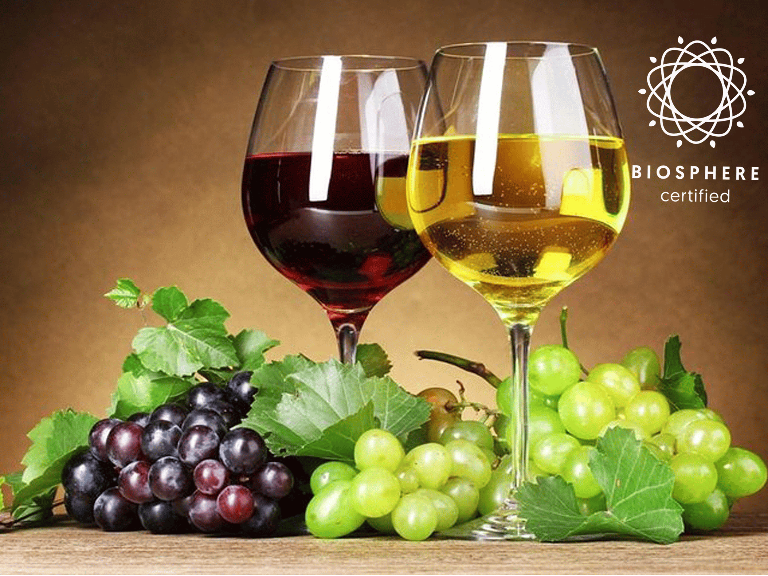 Madeira Wine & Skywalk Adventure