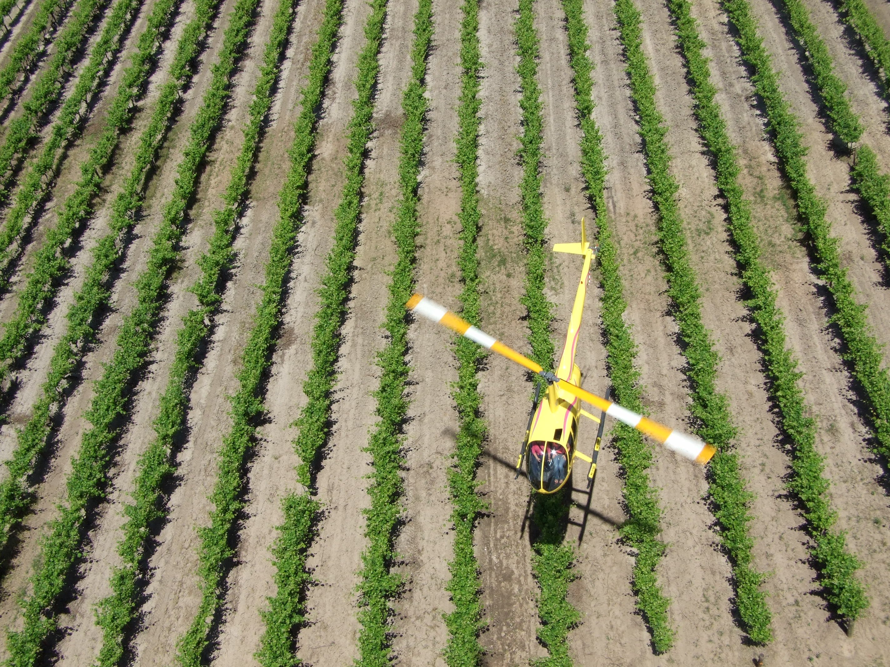 Barossa Valley Scenic Helicopter Flight