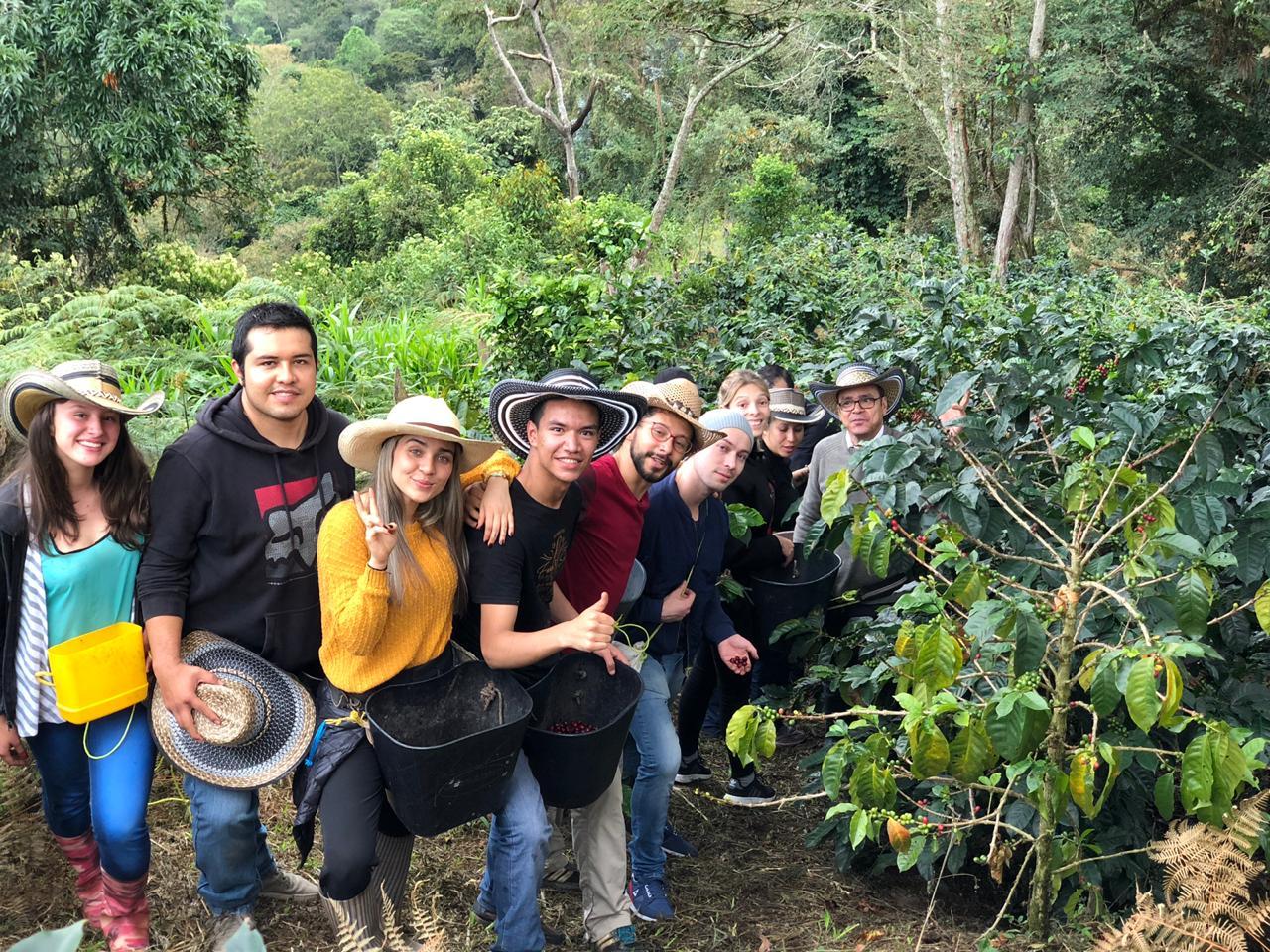 Private Cocora Valley, Salento & Coffee Farm Day Tour