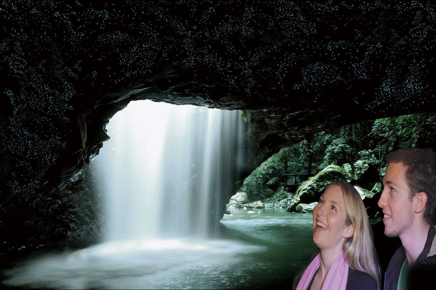 Natural Bridge Glow Worm Cave Night Experience