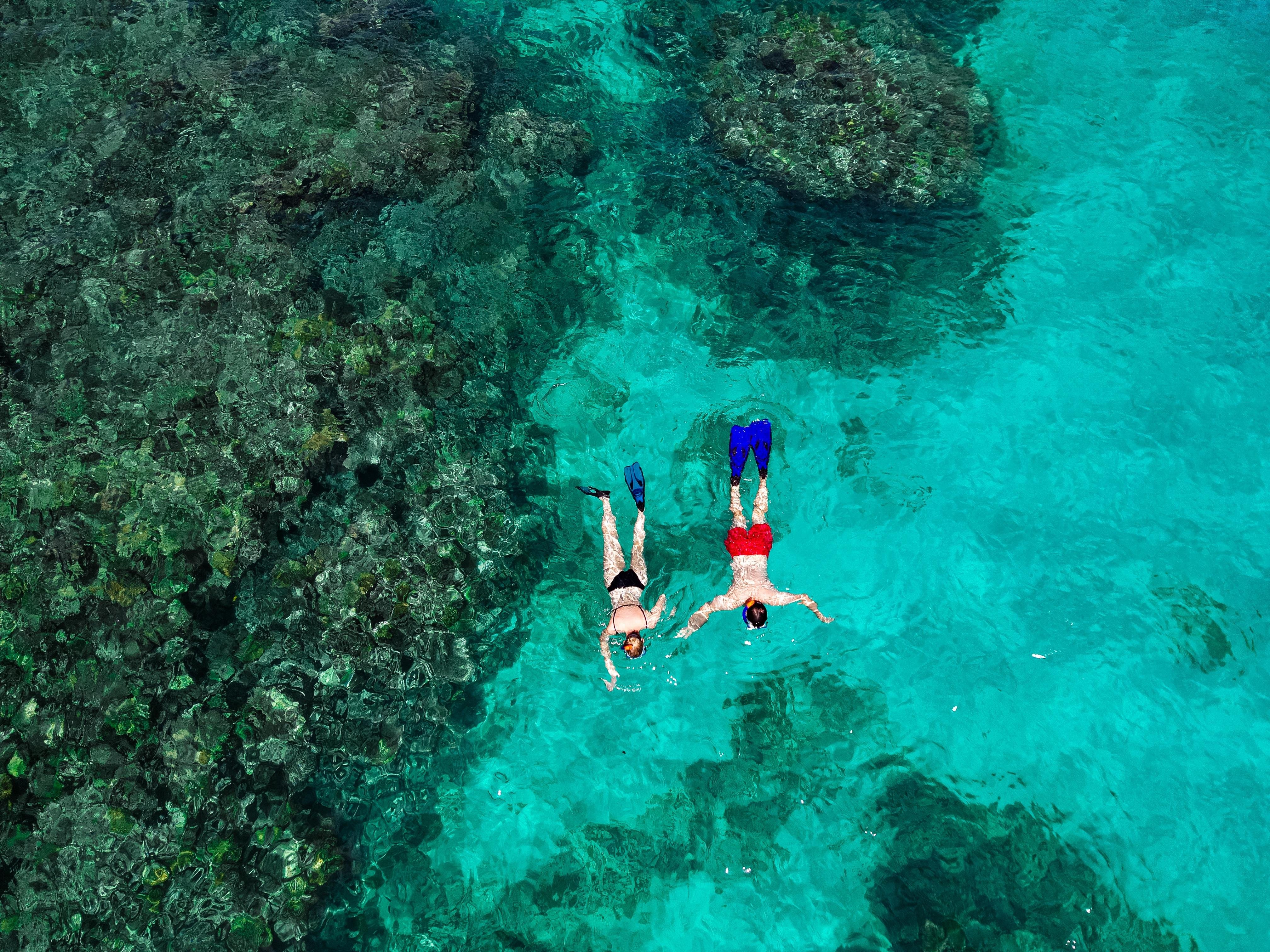 Praslin Full-Day Island Hop: Curieuse & St. Pierre by Boat
