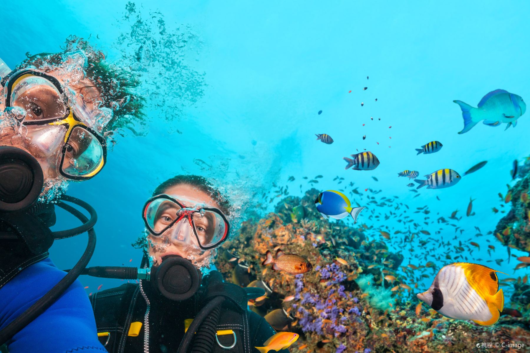 Discover Scuba Diving Experience with PADI Instructor
