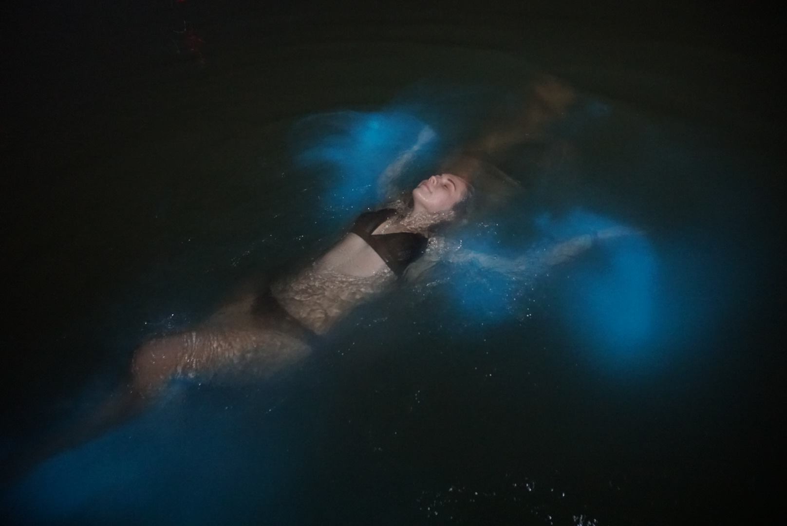 Luminous Lagoon Night Boat Experience