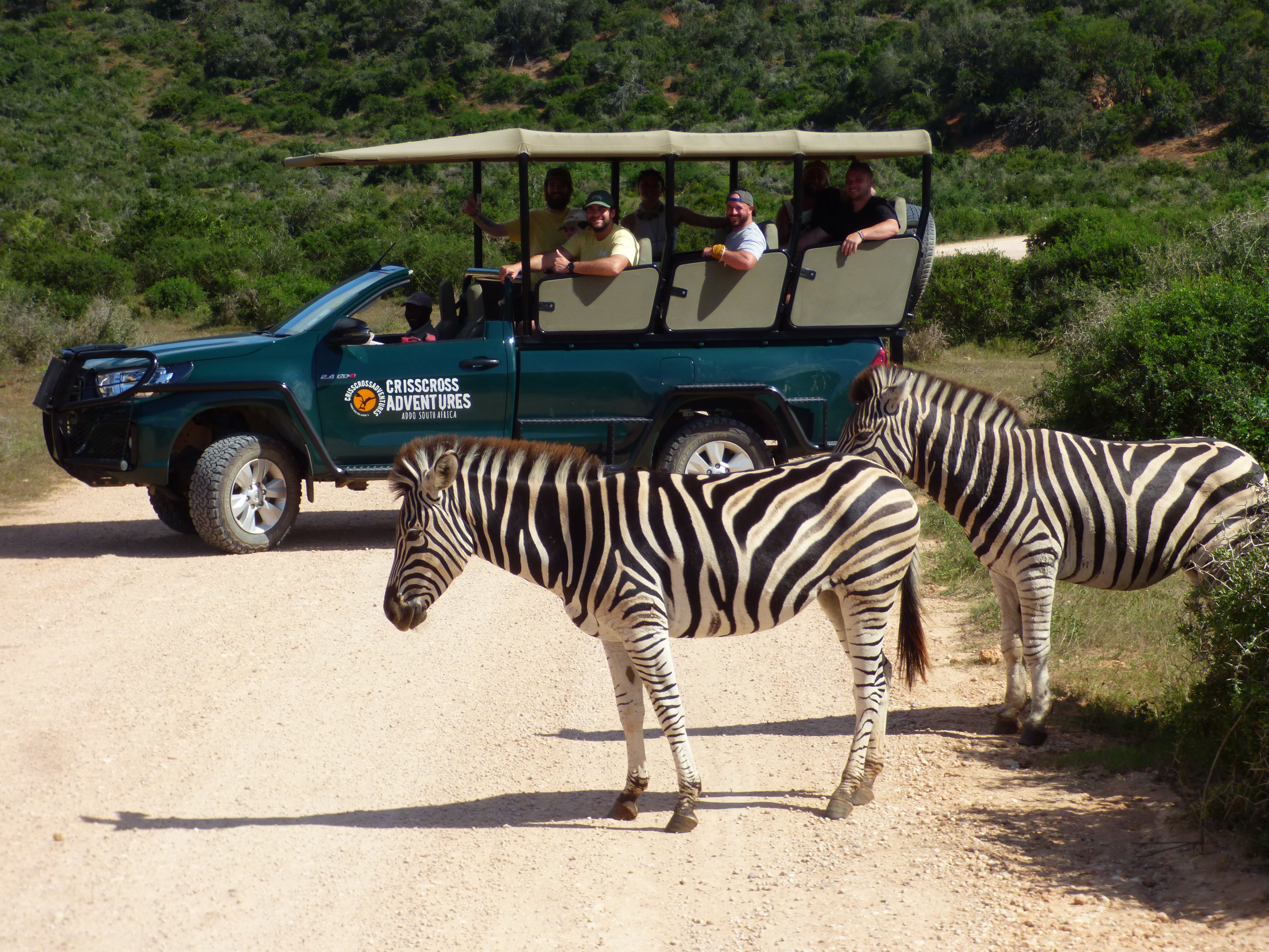 Addo Elephant National Park Half-Day Safari
