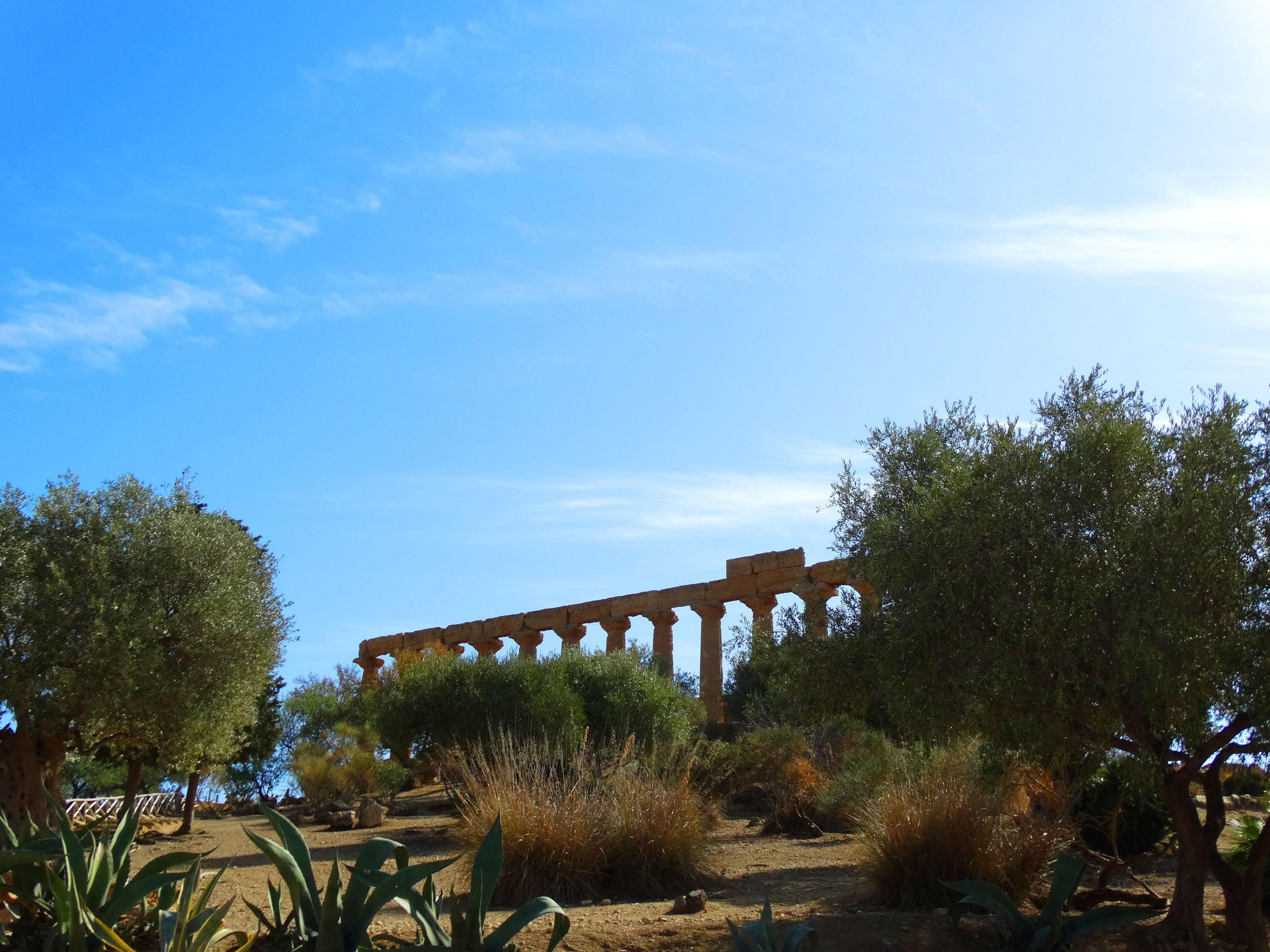 Agrigento: Valley of the Temples Private Tour