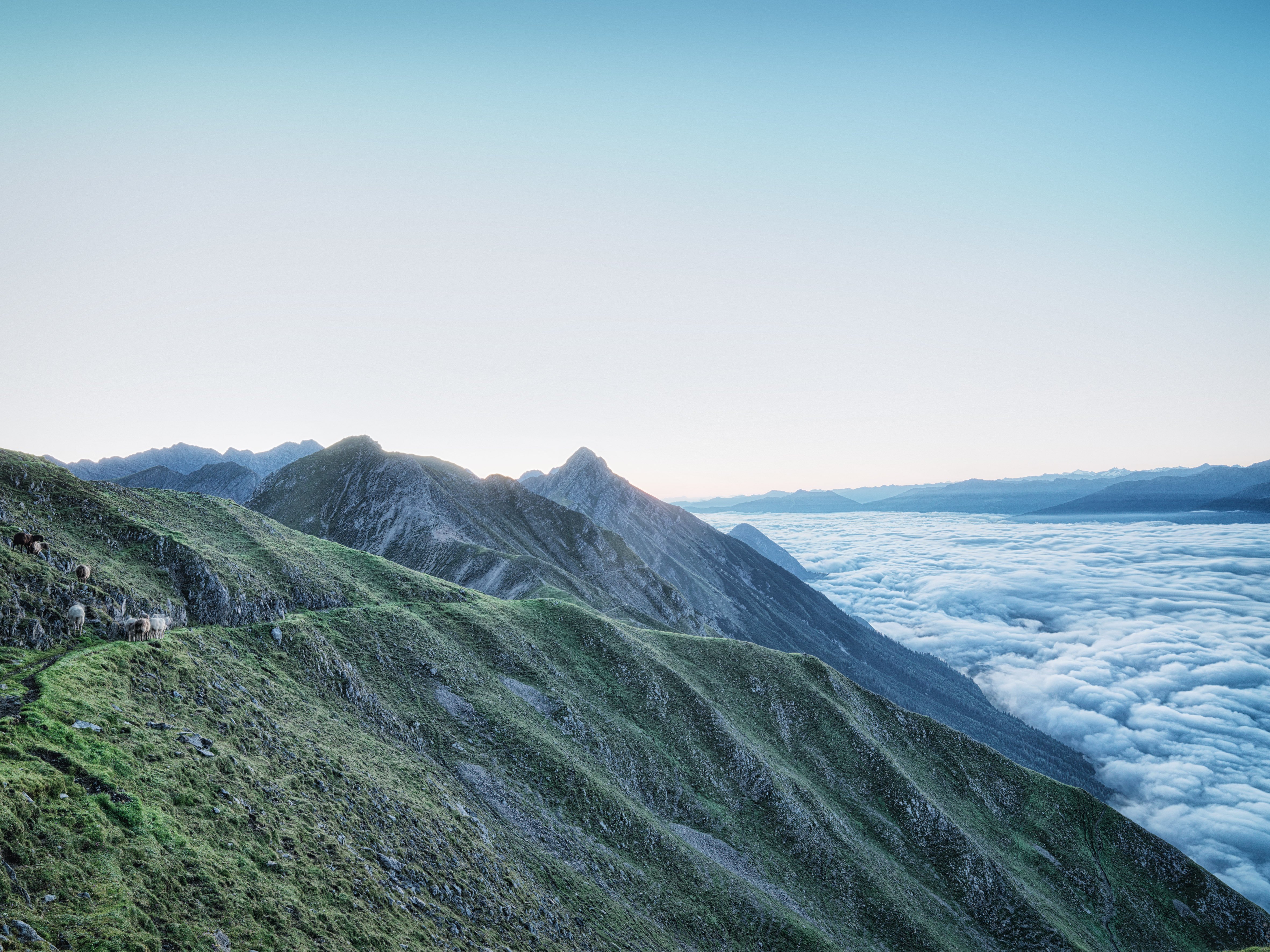 Innsbruck: Alpenzoo & Top of Innsbruck Combination Ticket - 2026 (Verified Reviews)