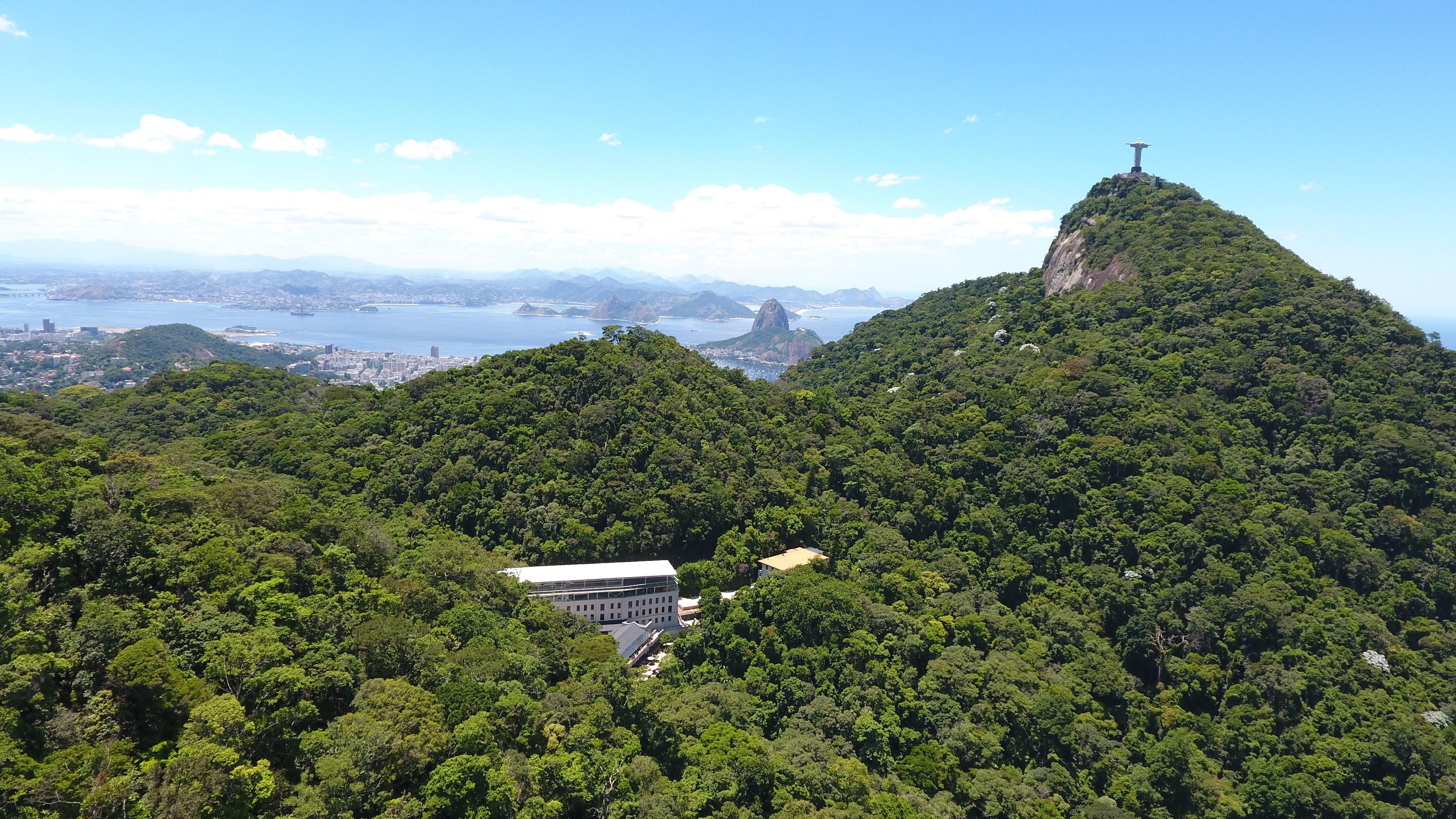 Christ the Redeemer Ticket with Copacabana Van Transfer