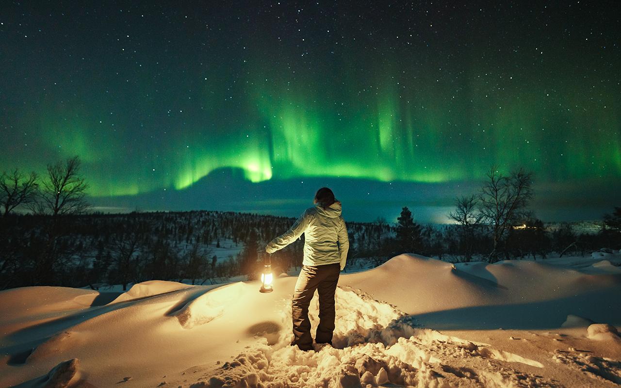 Rovaniemi Small-Group Northern Lights Hunt (Guaranteed)